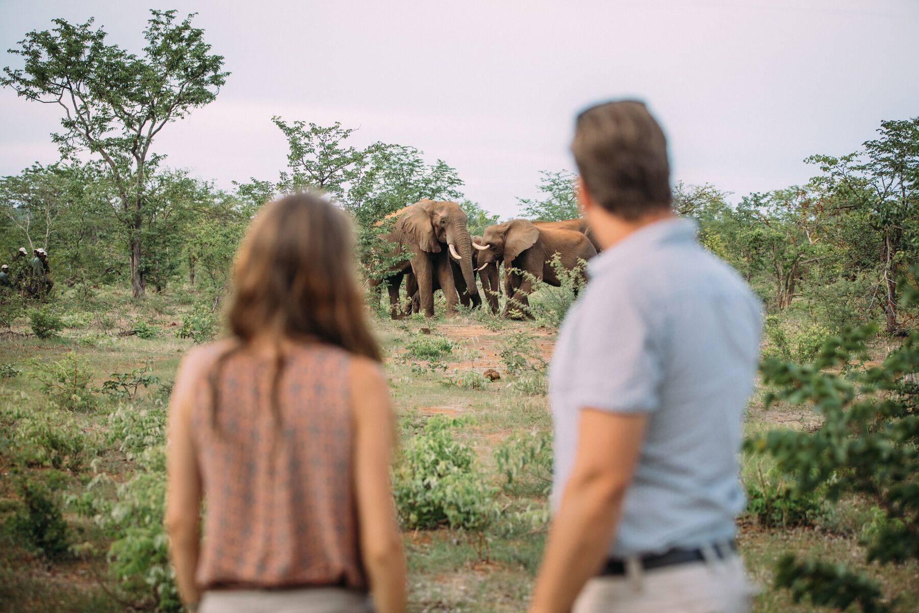 The Wallow Lodge en Victoria Falls