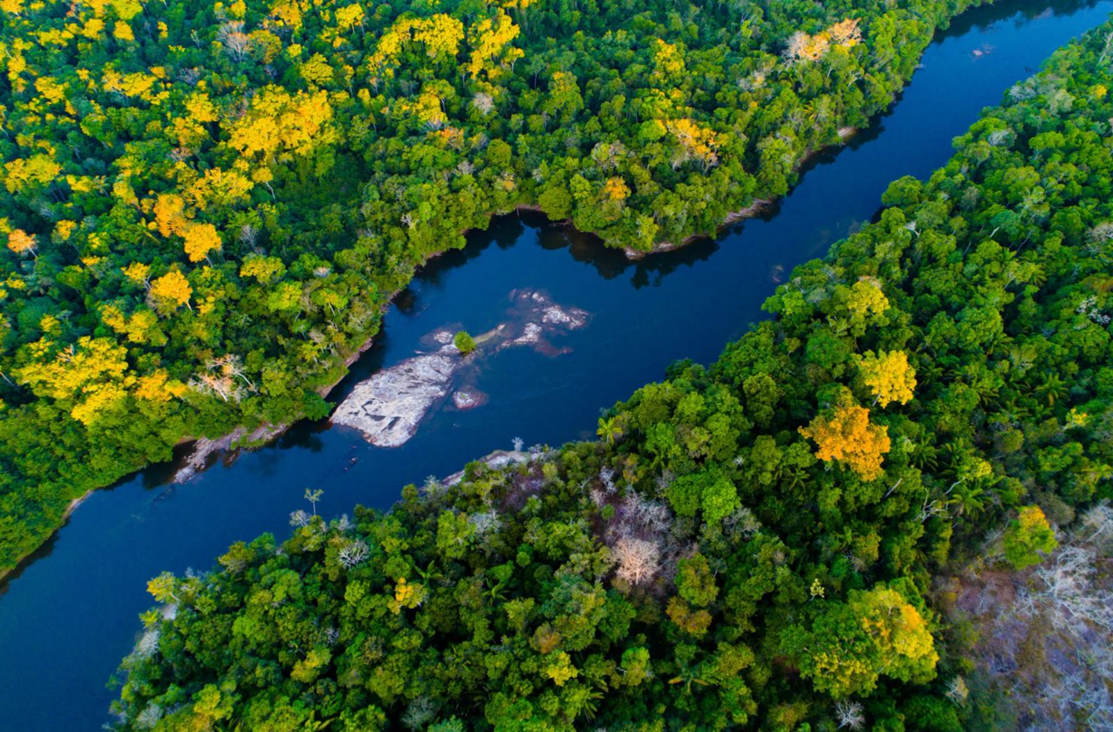 Cristalino Lodge en Amazonas