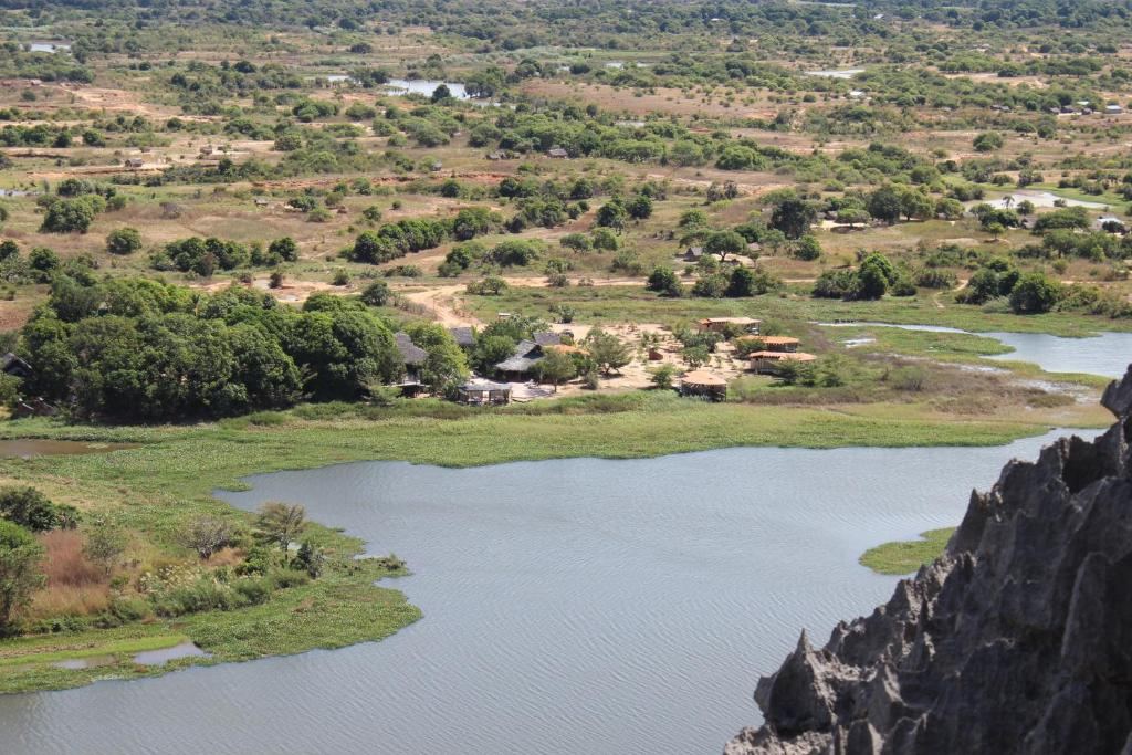 Ankarana