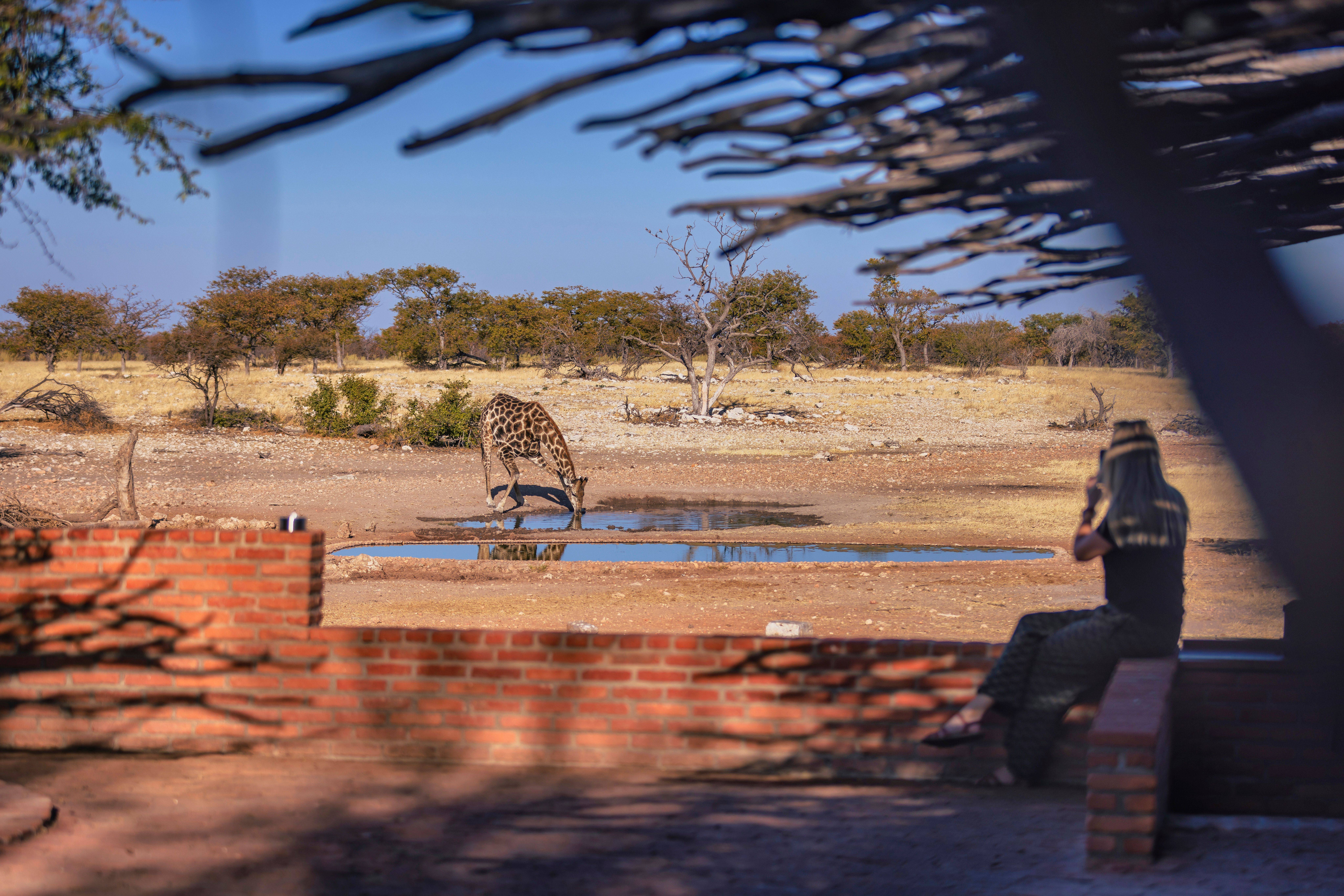 Imagen de viaje Viajes Latitud40
