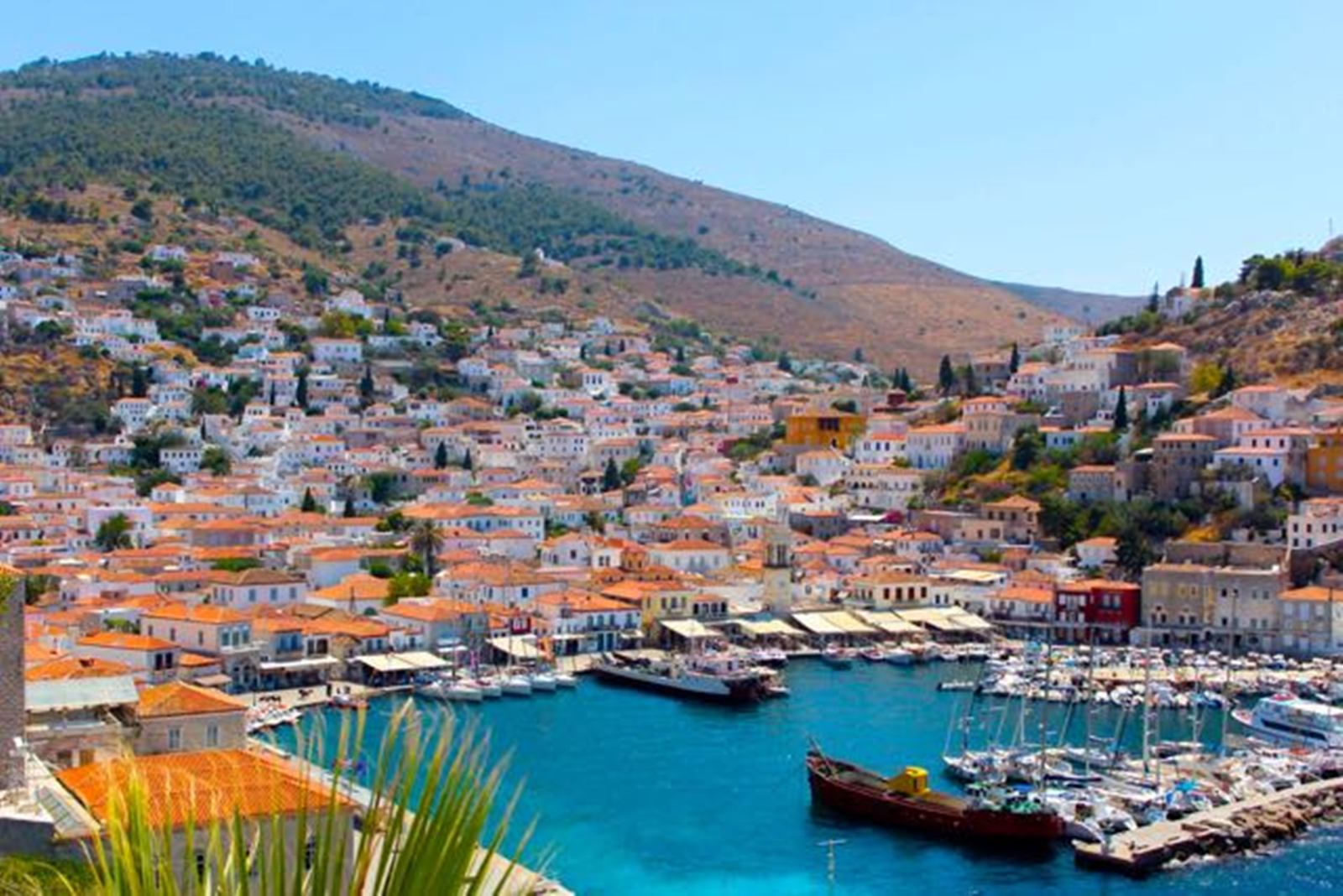 Hydra  | LAT.40