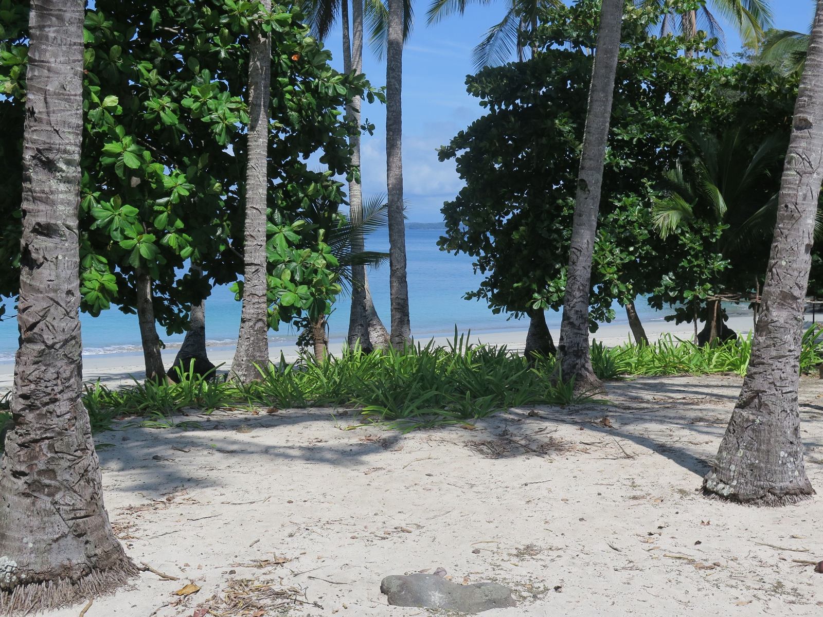 Seagull Cove Resort en Islas Secas