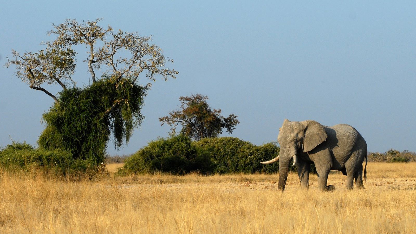 Imagen de viaje Viajes Latitud40