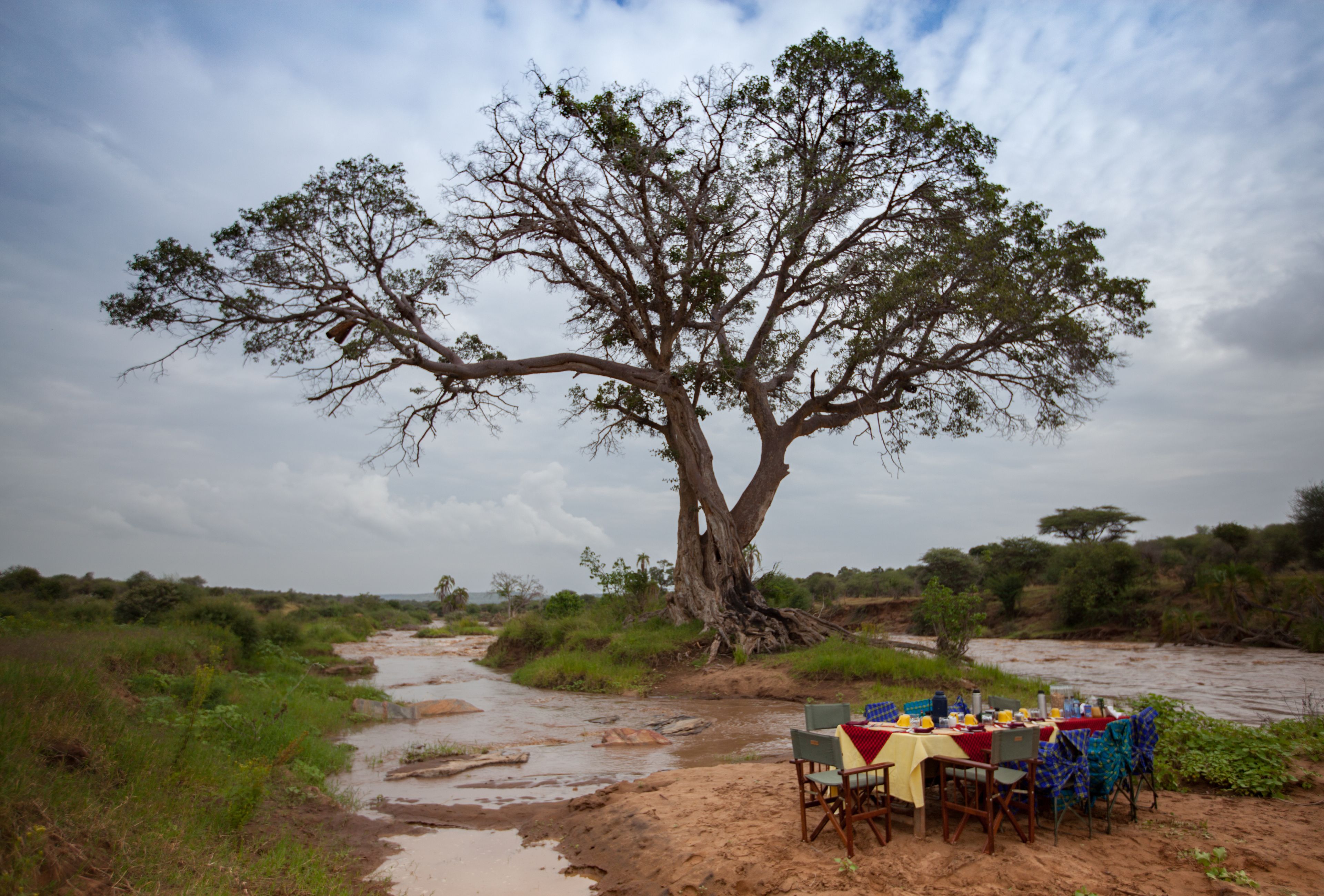 Elewana Loisaba Tented Camp en Loisaba