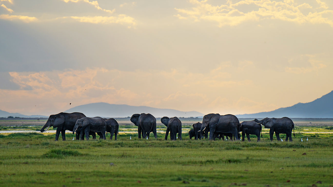Elewana Loisaba Tented Camp en Loisaba