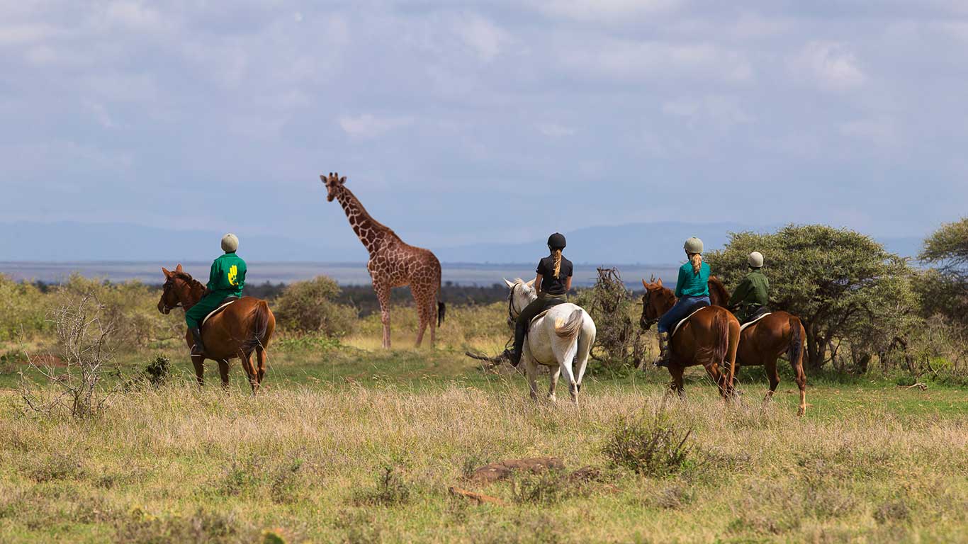 Elewana Loisaba Tented Camp en Loisaba