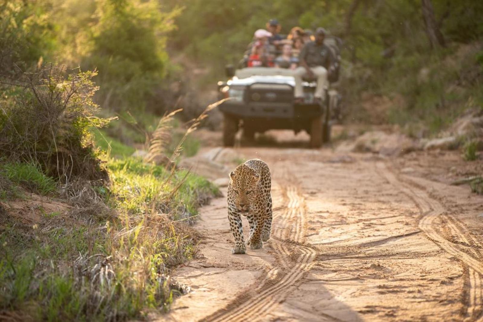 Kapama River Lodge en South Africa