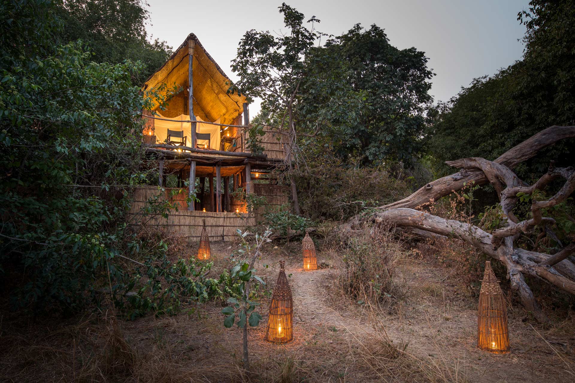 Chikoko Tree Camp en Luangwa Valley
