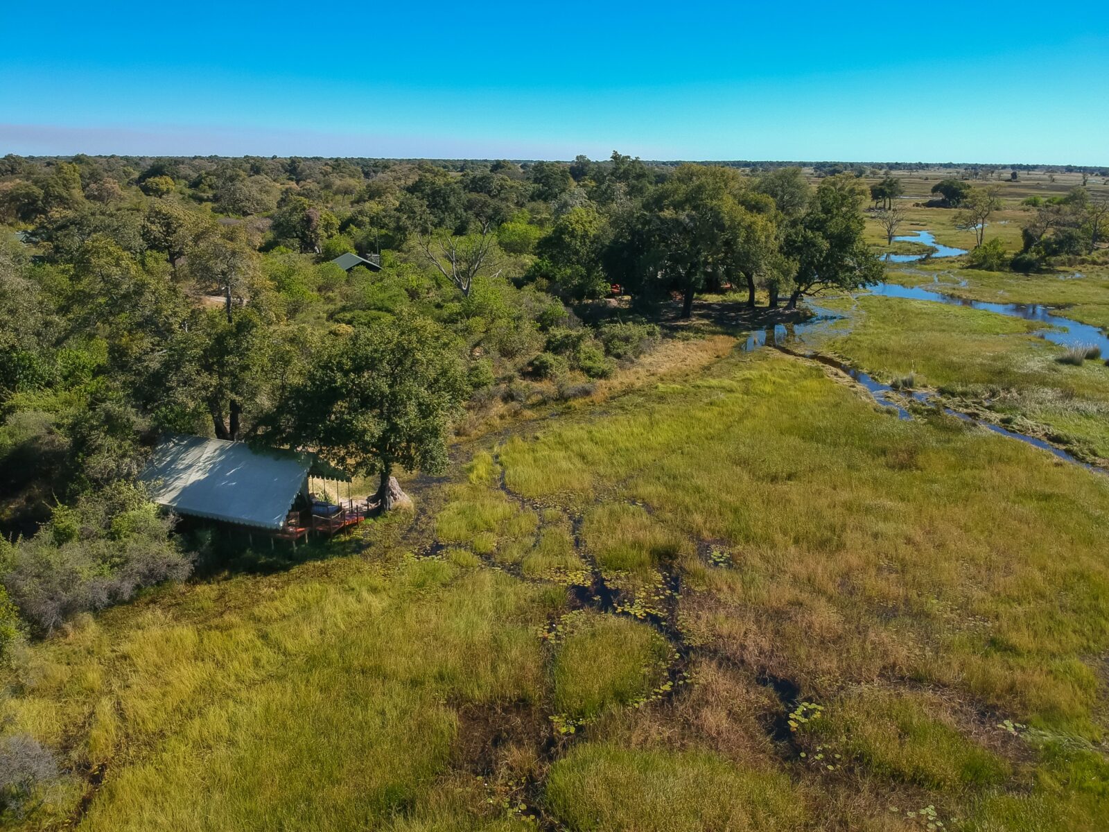 Duke’s Camp en Delta Okavango