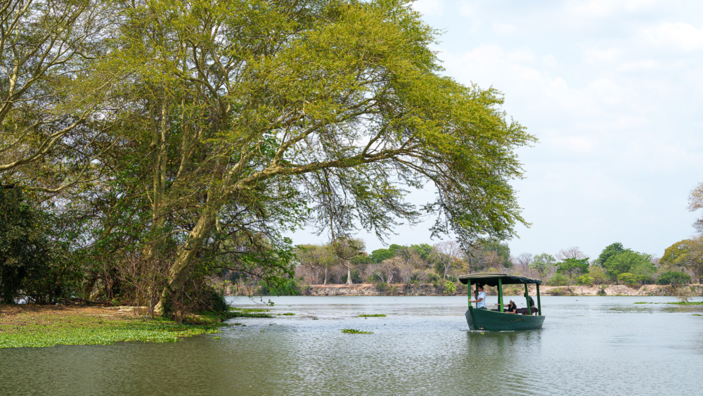 Parque Nacional de Liwonde | LAT.40