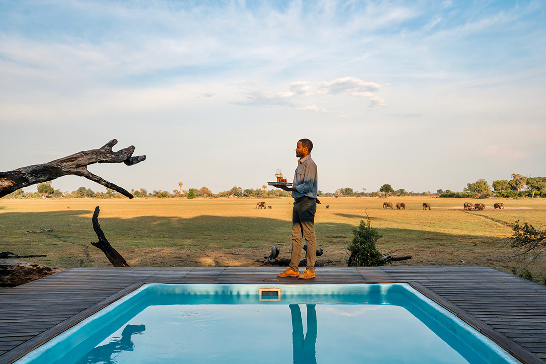 Mokolwane en Delta Okavango
