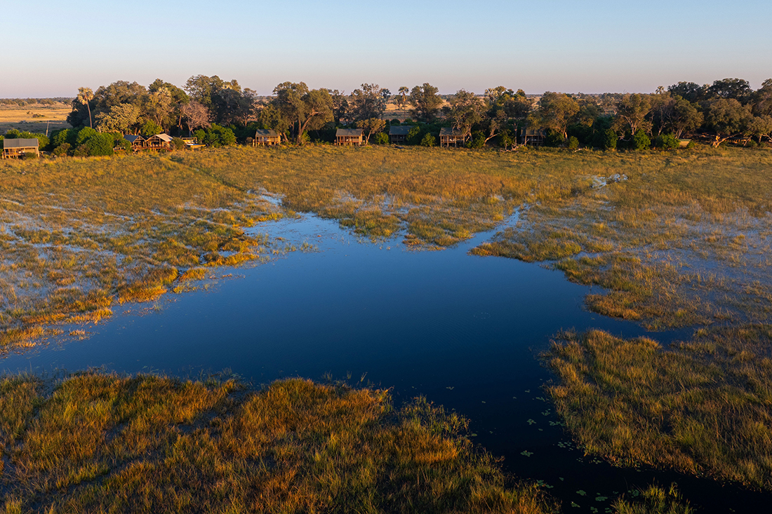Mokolwane en Delta Okavango