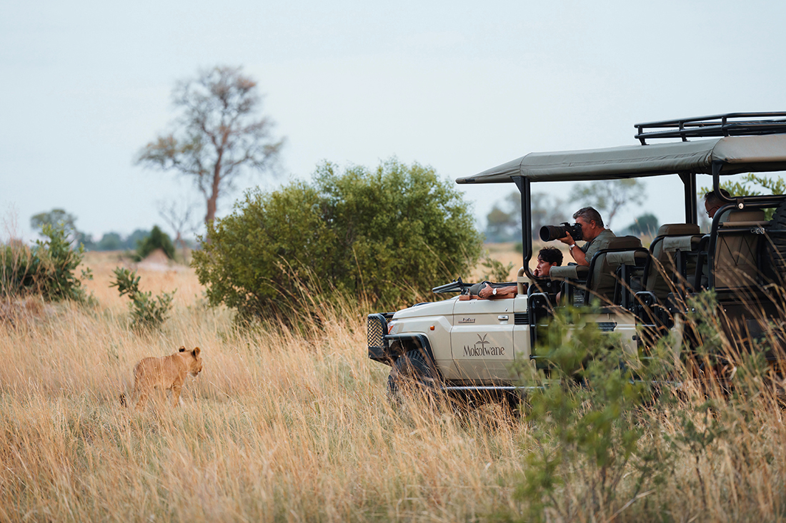 Mokolwane en Delta Okavango