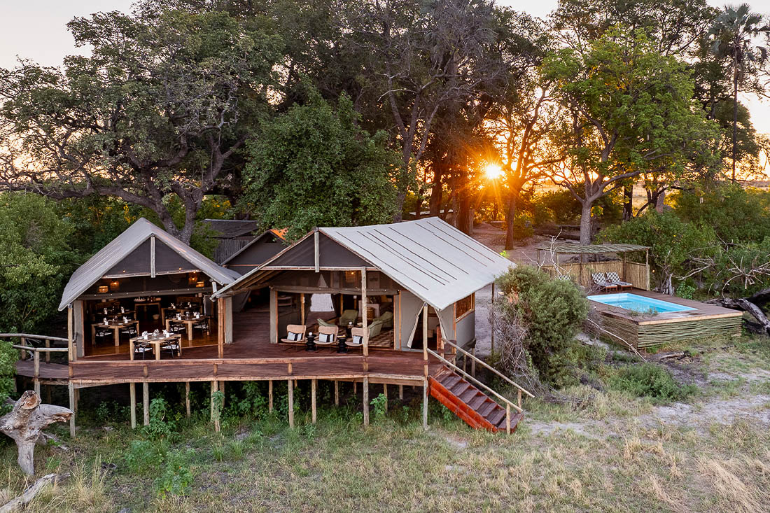 Mokolwane en Delta Okavango