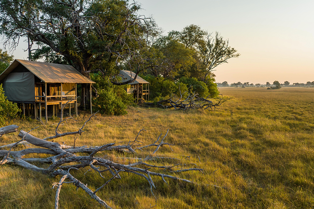 Mokolwane en Delta Okavango