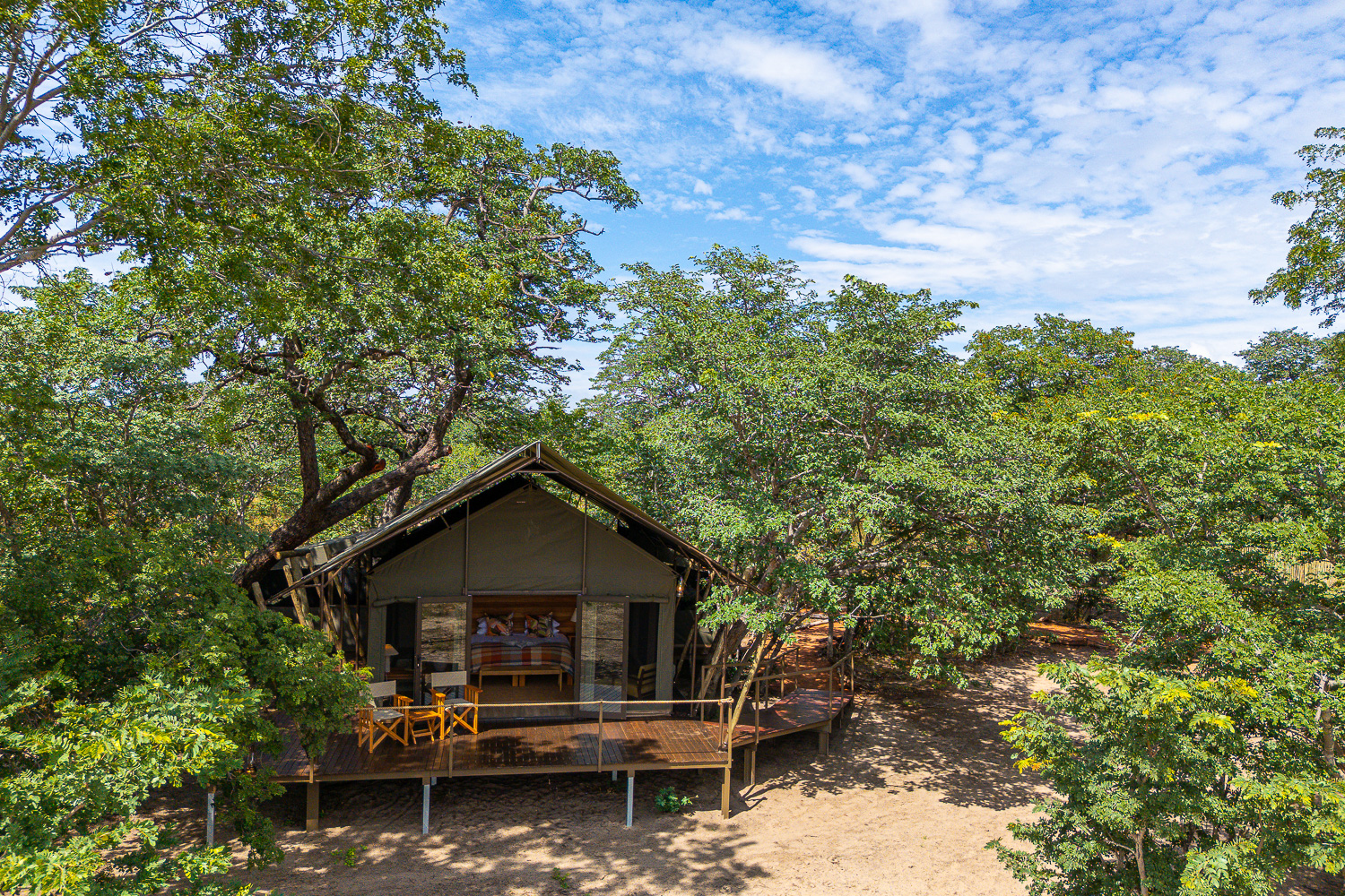 Muddy Teak en Hwange