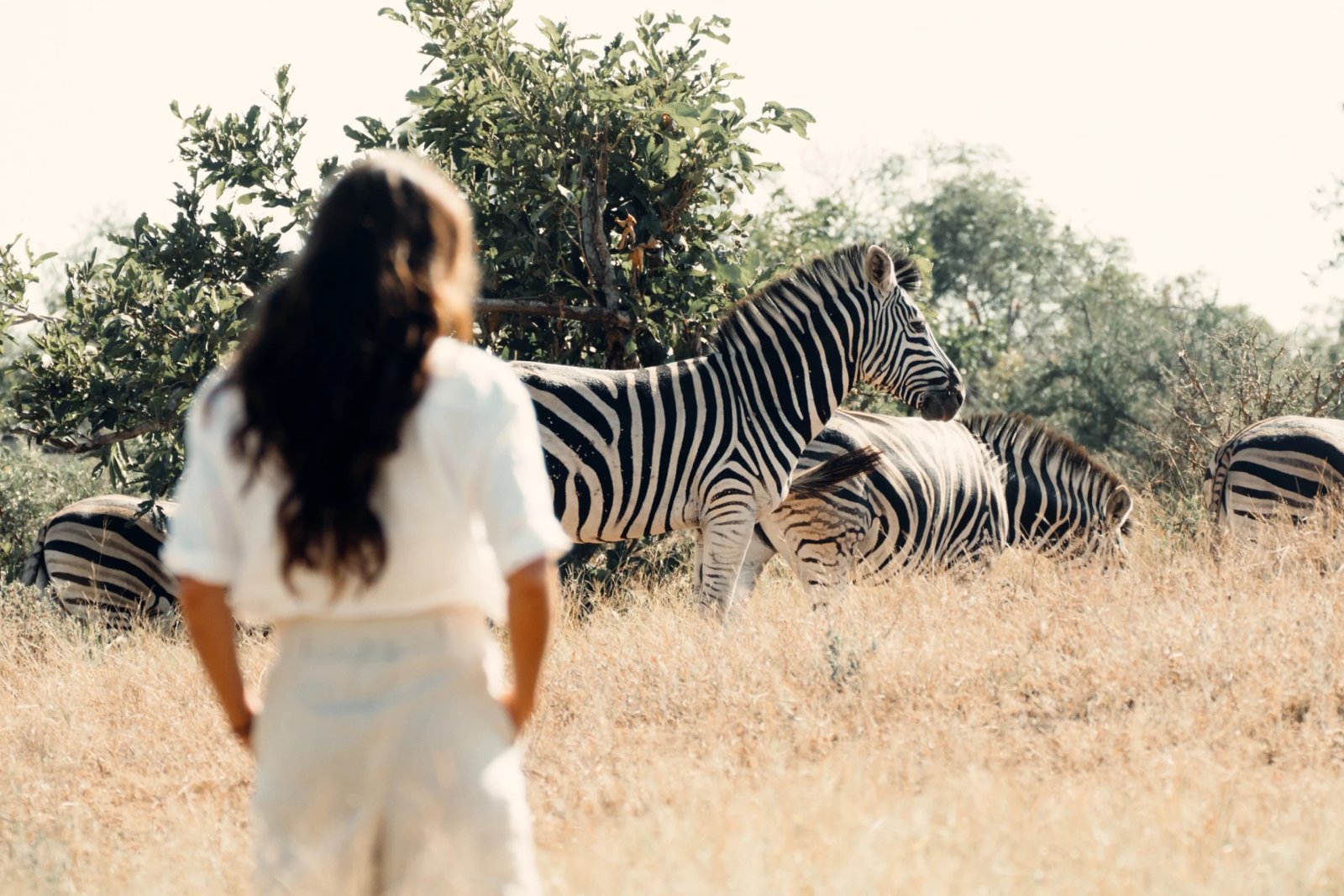 Royal Malewane Masiya's Camp en Kruger National Park