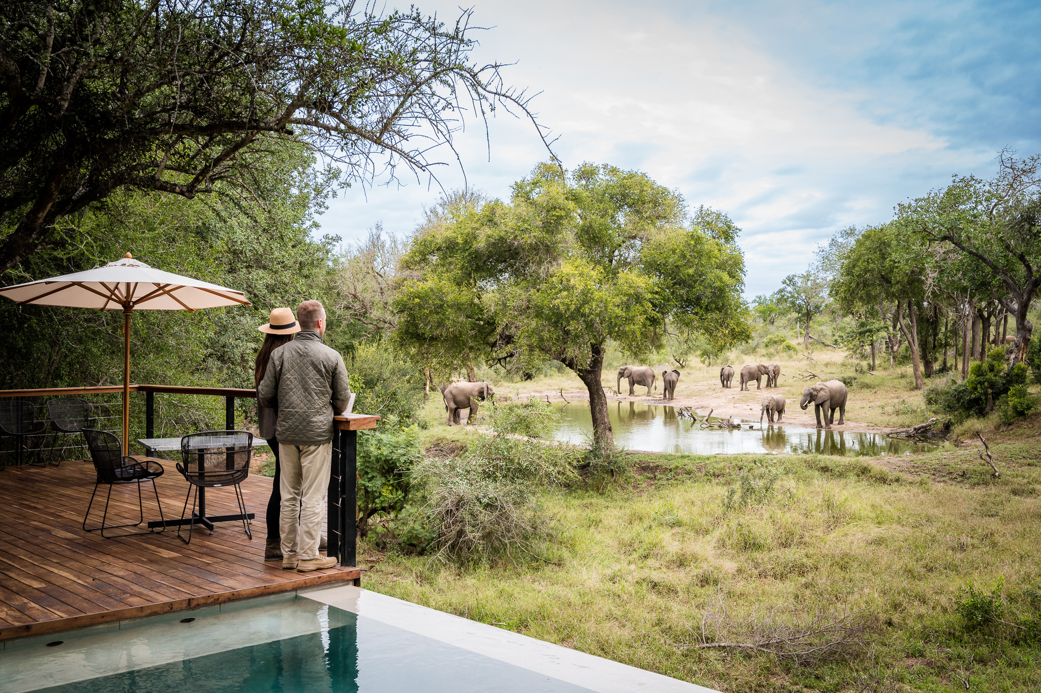 Serondella en Kruger National Park