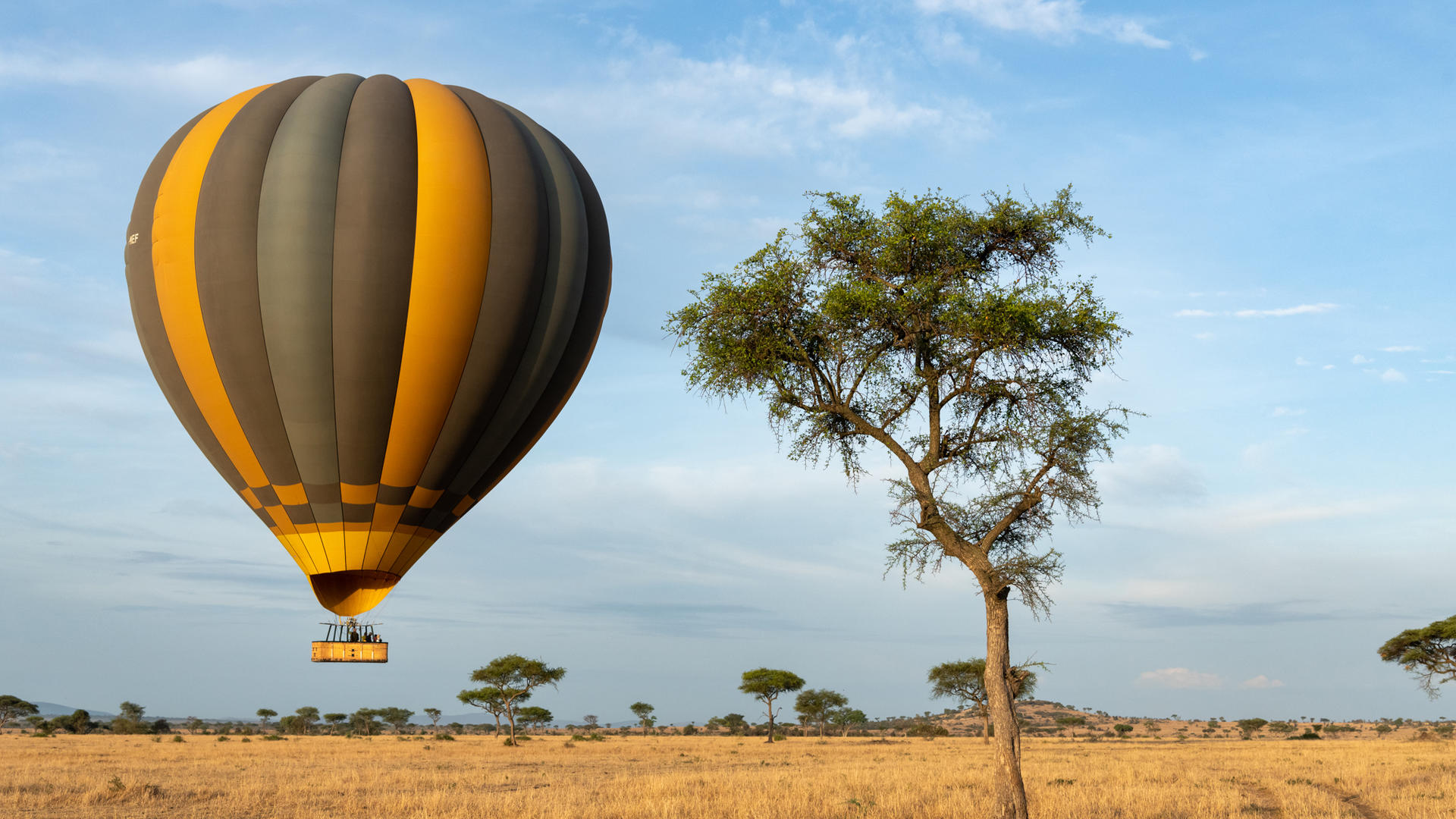 Sgr activities hot air balloon in flight two tracks ross couper 1 5