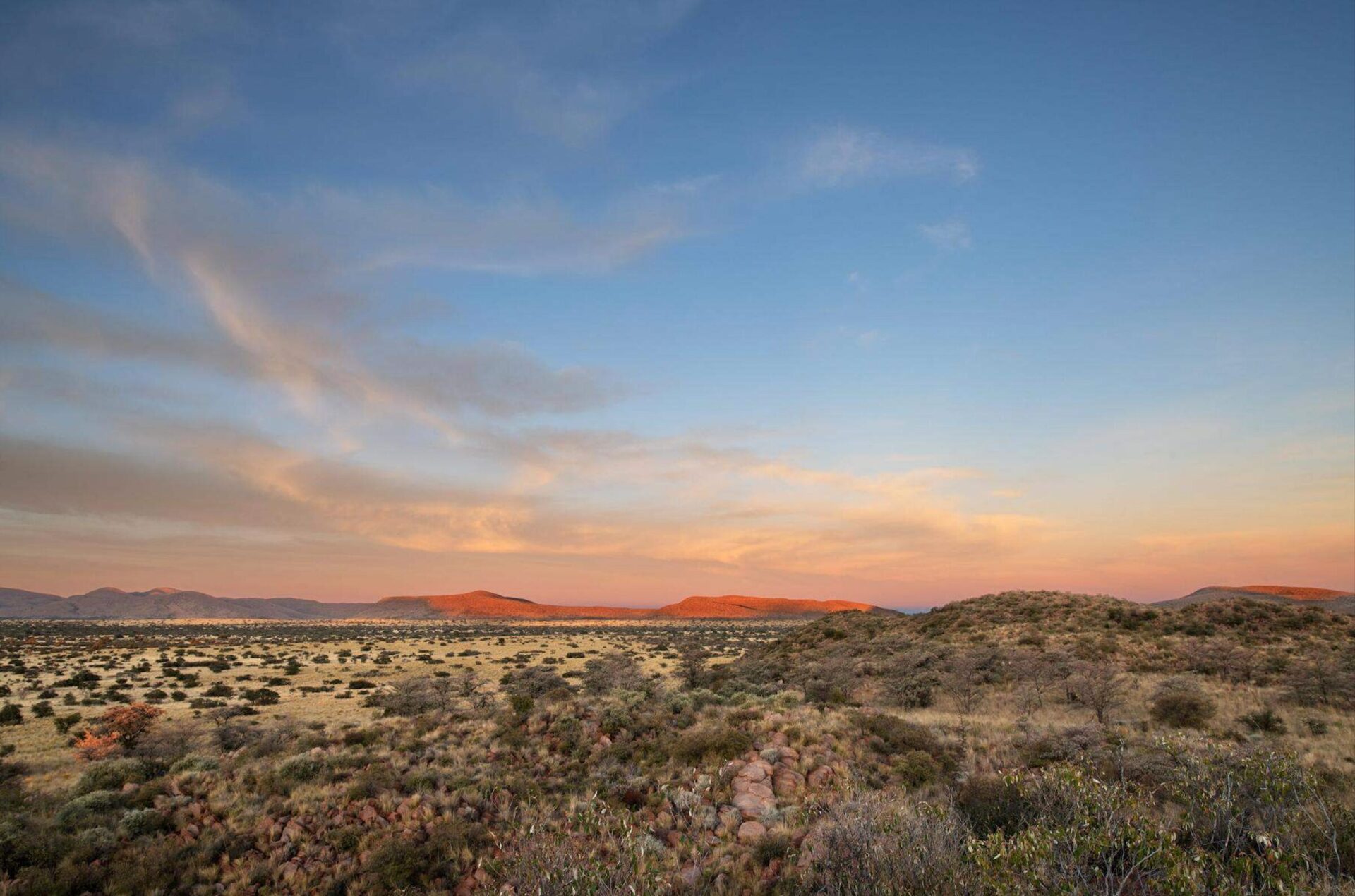 Tswalu Tarkuni en Tswalu Kalahari Reserve
