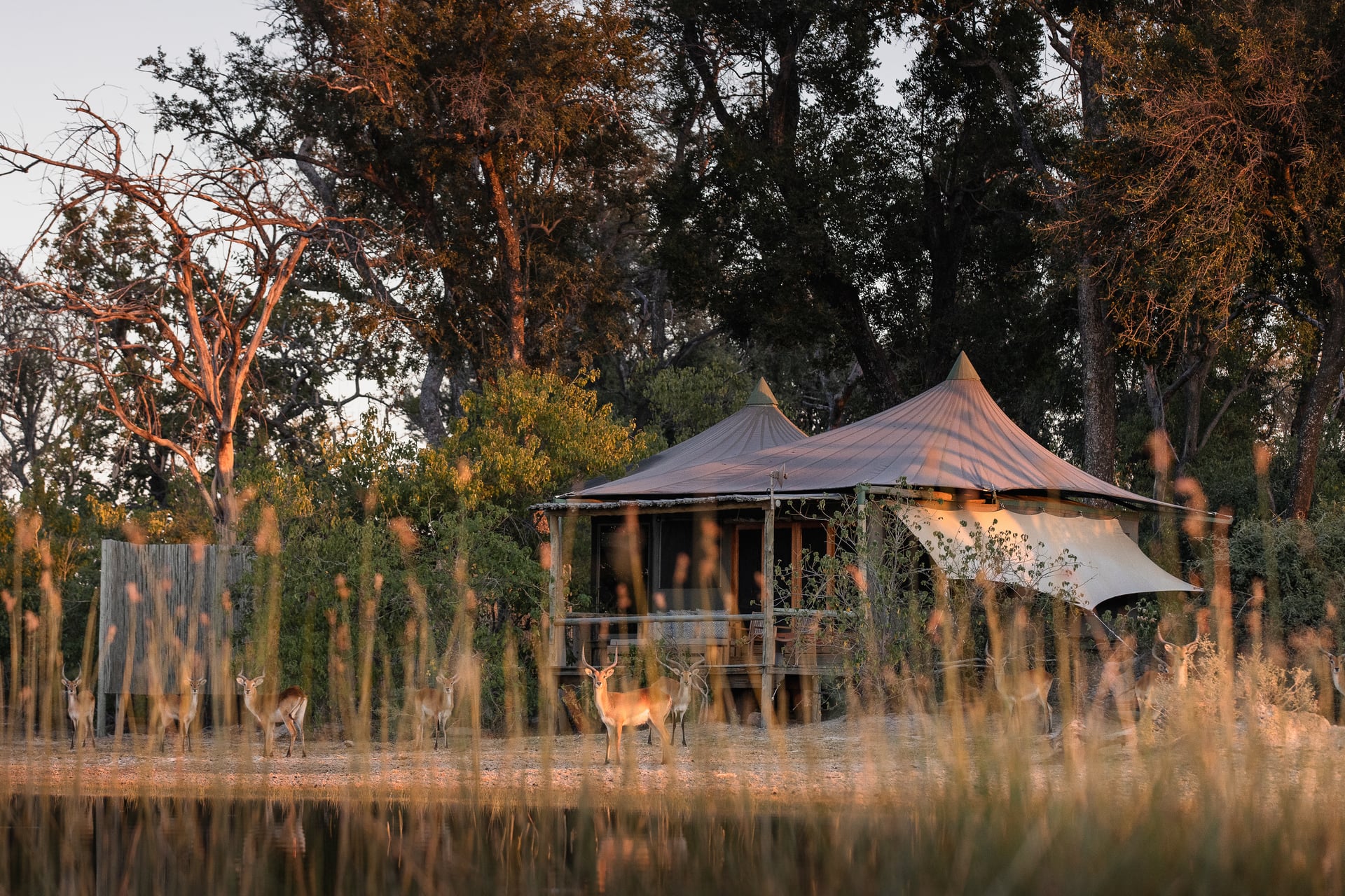 Wilderness Little Vumbura en Delta Okavango