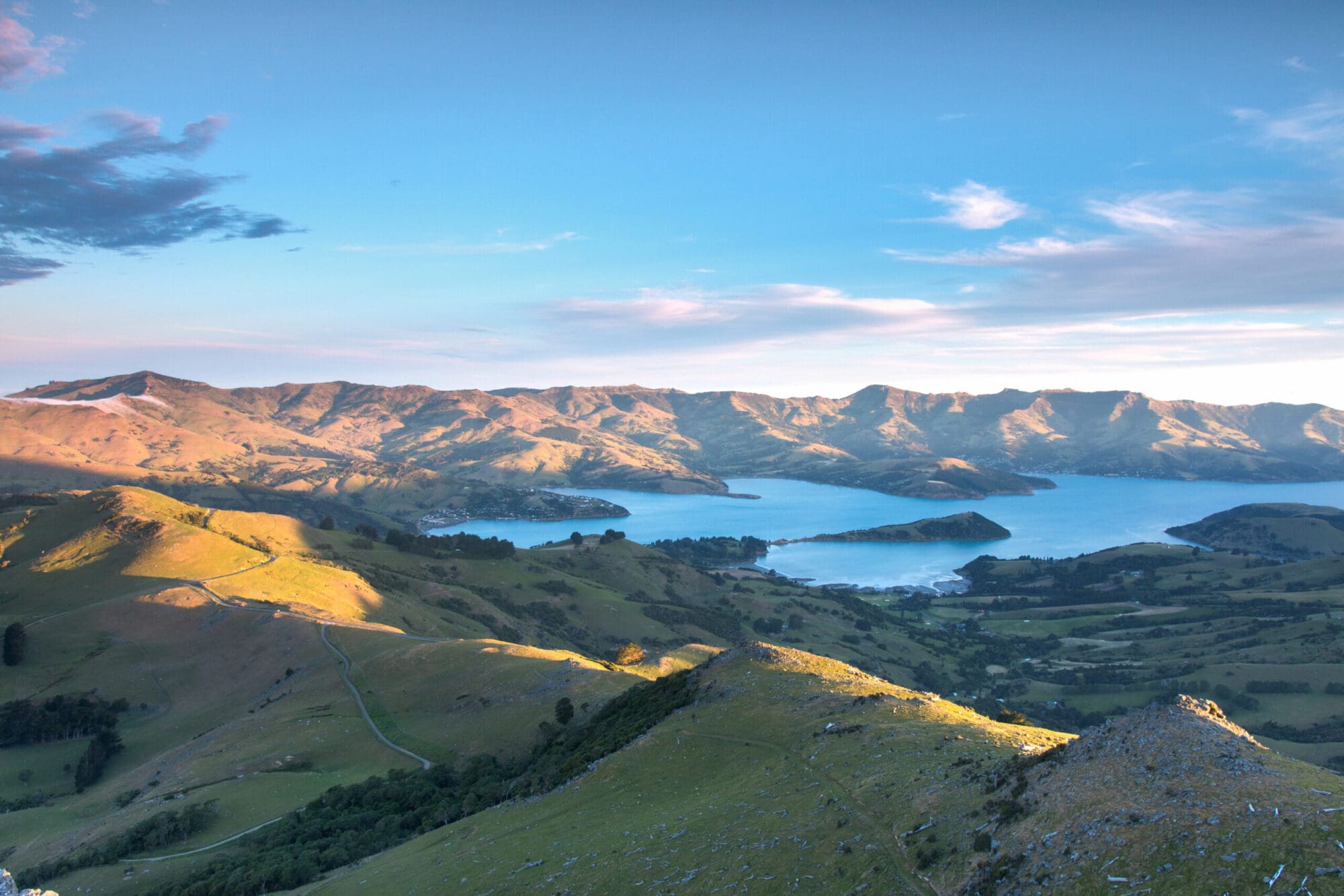 Annandale Shearwater en Akaroa y Península de Banks