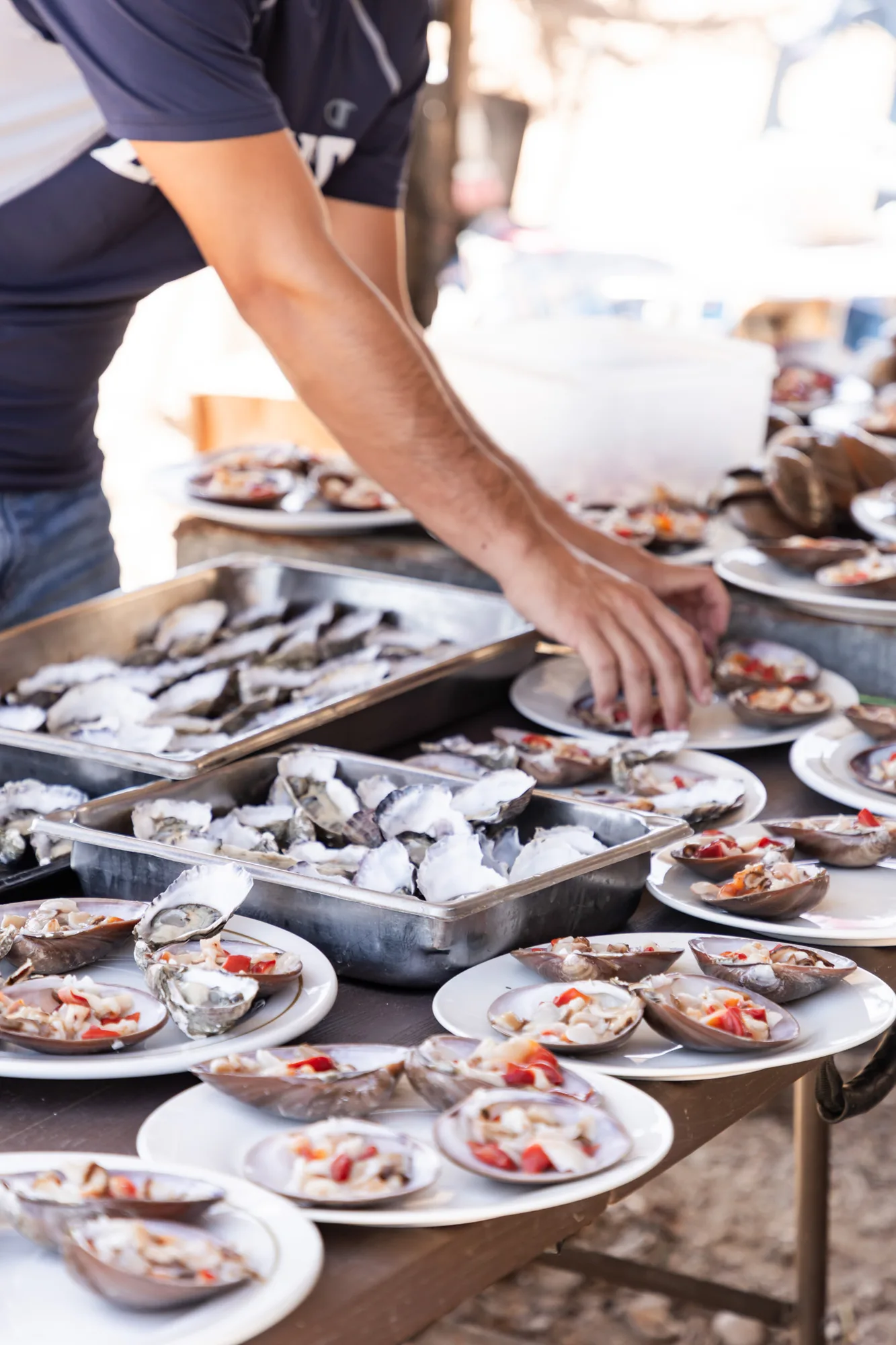 10 sardine run 10 7017eb26