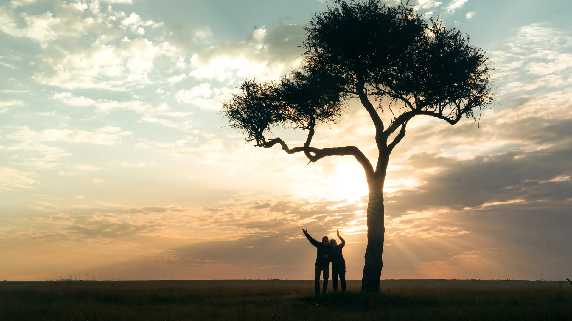 Emboo guests under a tree at sunset jpg