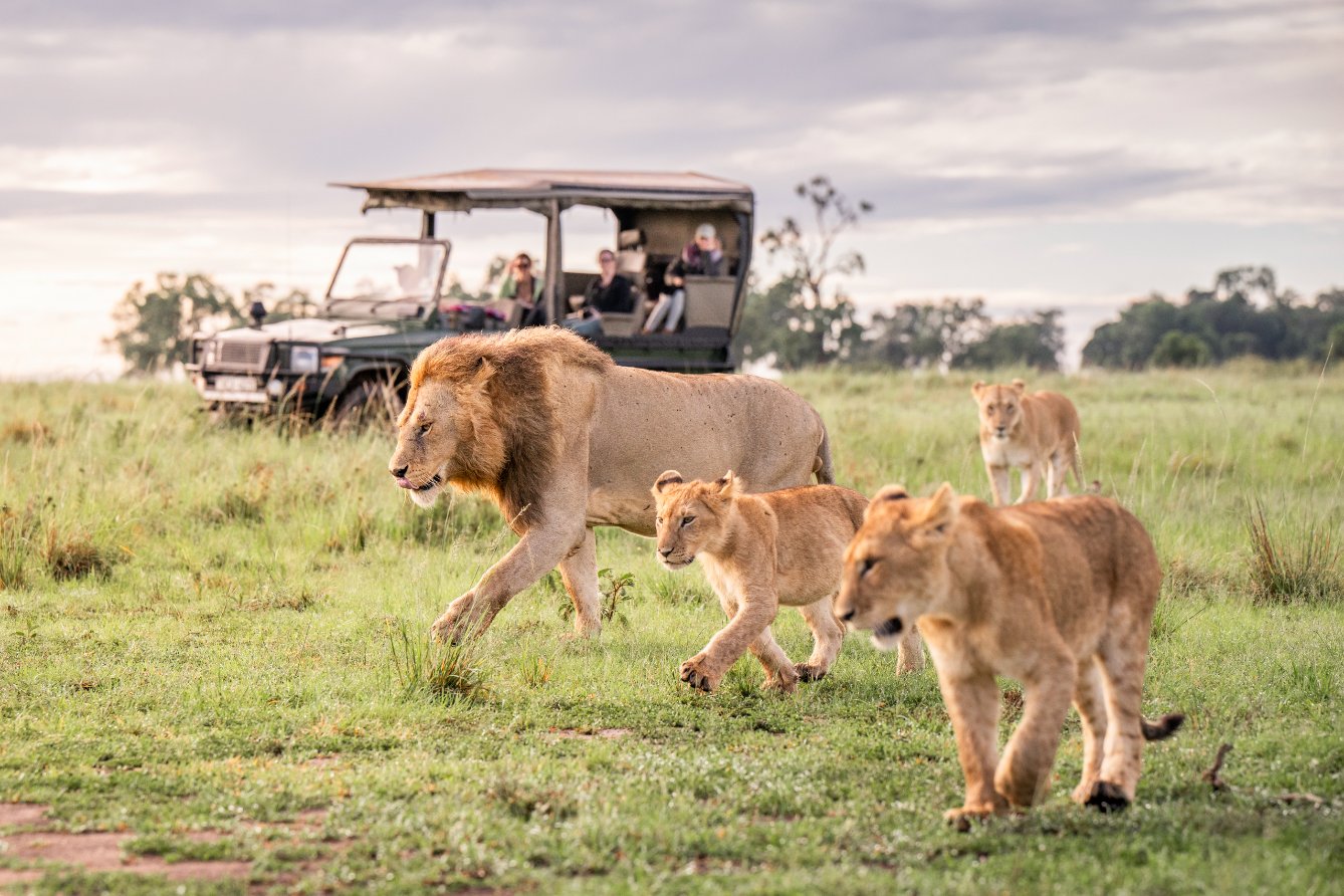 On safari 7