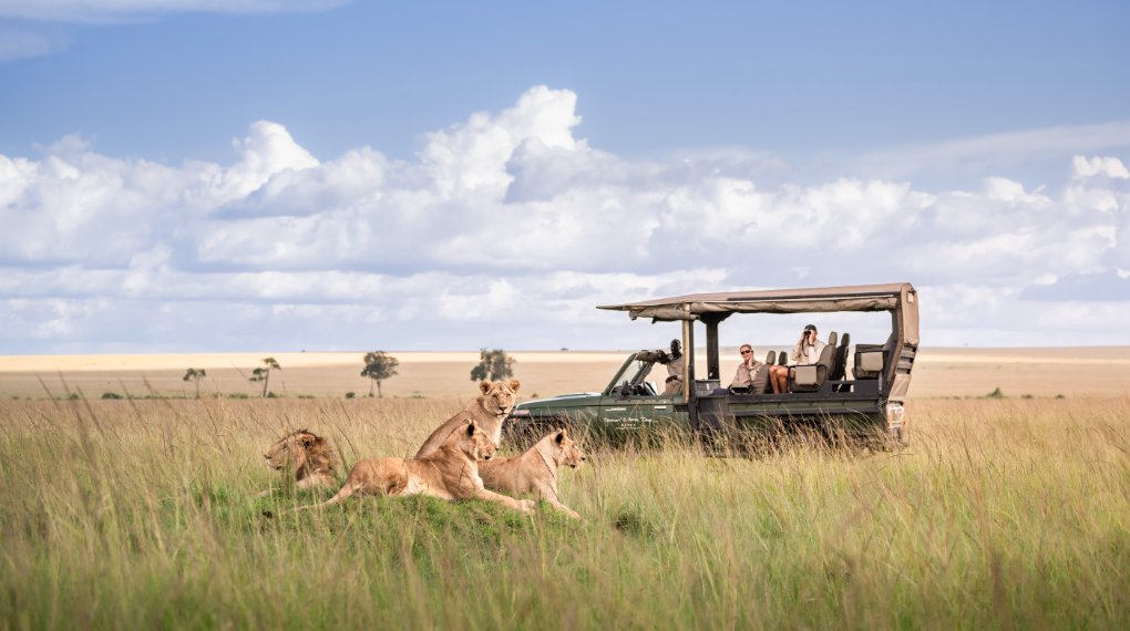 On safari 2