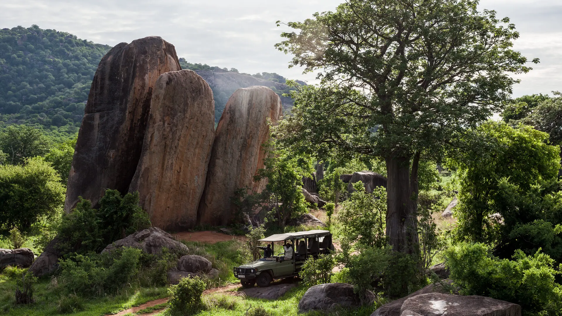 Asilia camp lodges jabali private house when to go2 jpg