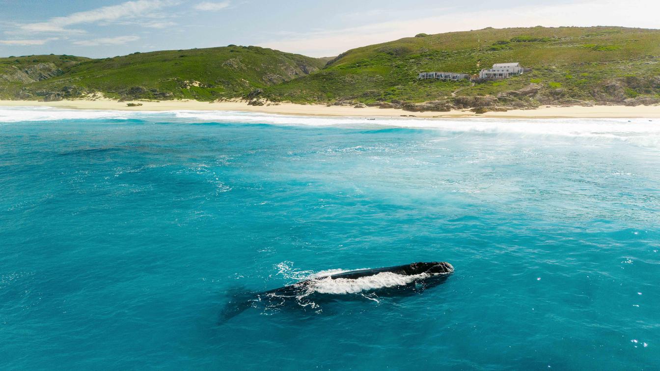 Lekkerwater Beach Lodge at De Hoop en De Hoop