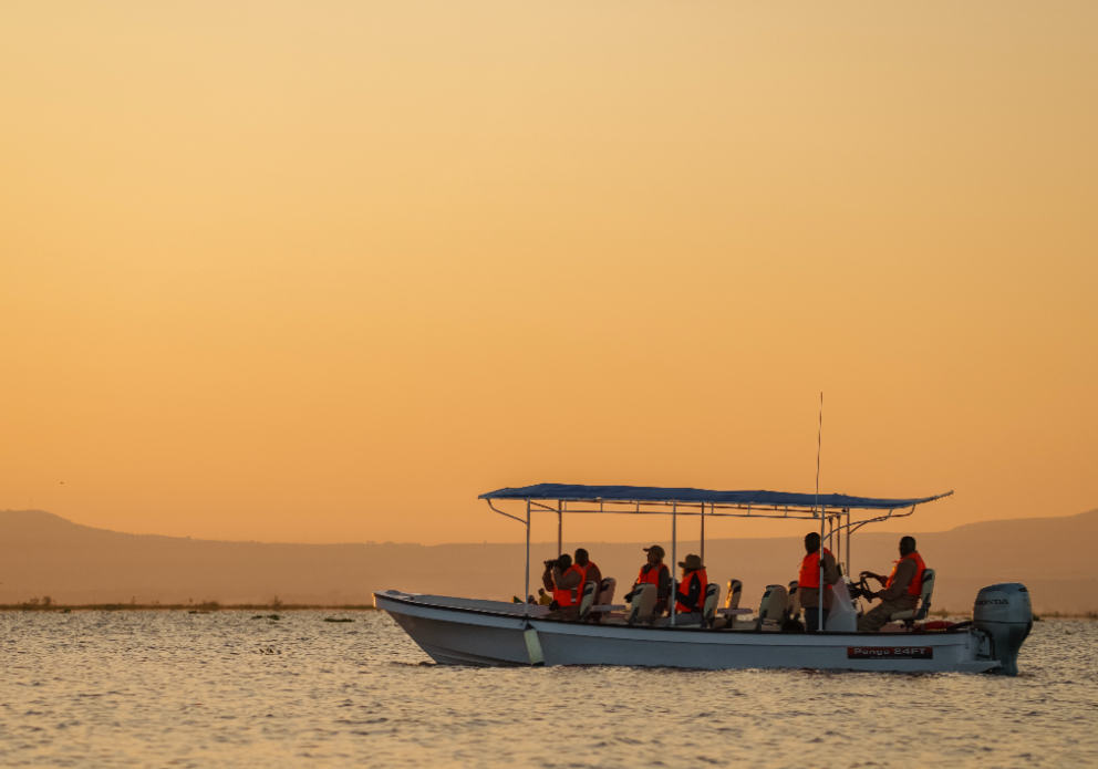 Sw loldia boat 2