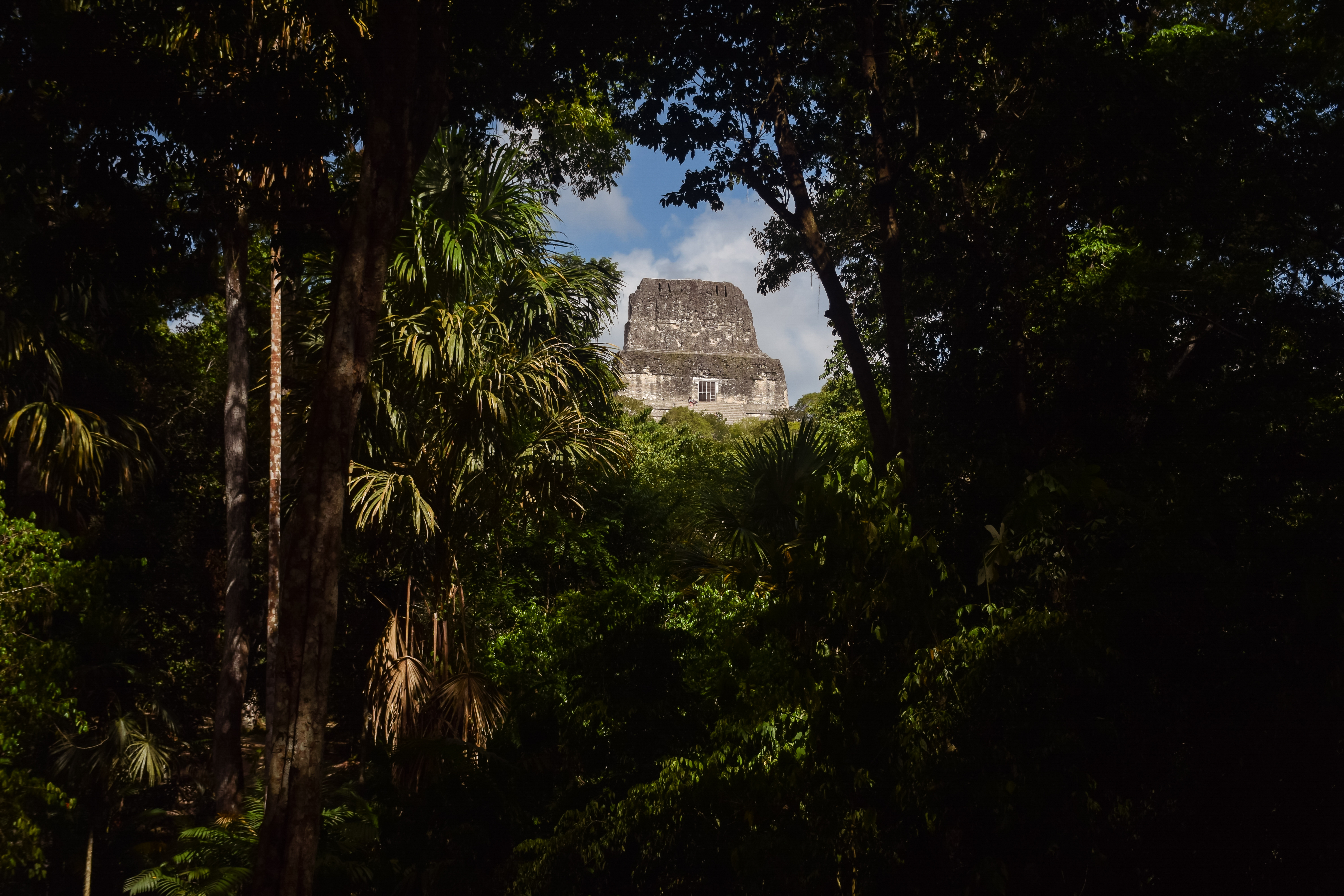 NOMA Basecamp en Acatenango