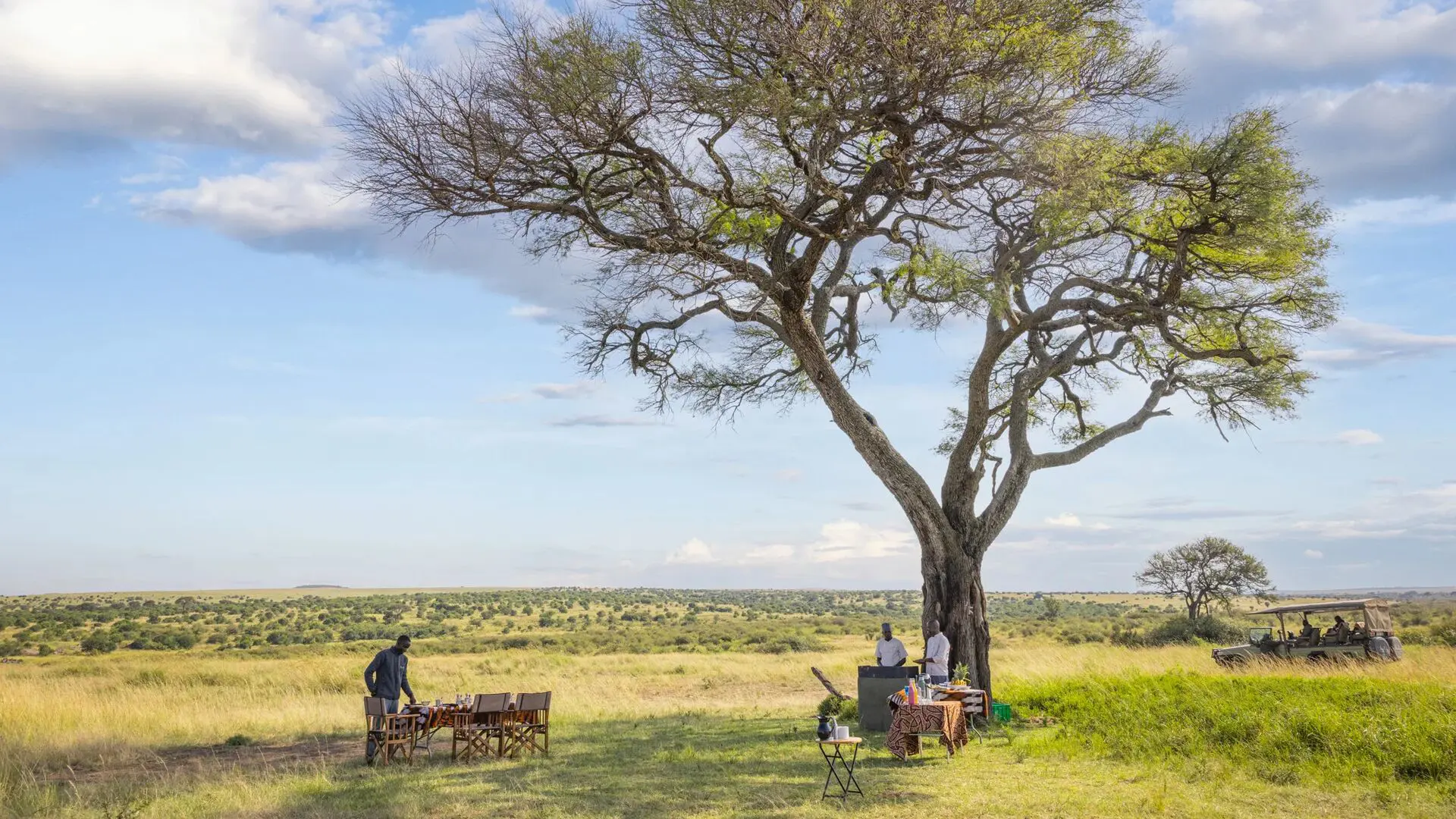 Asilia africa olakira migration camp bush breakfast jpg