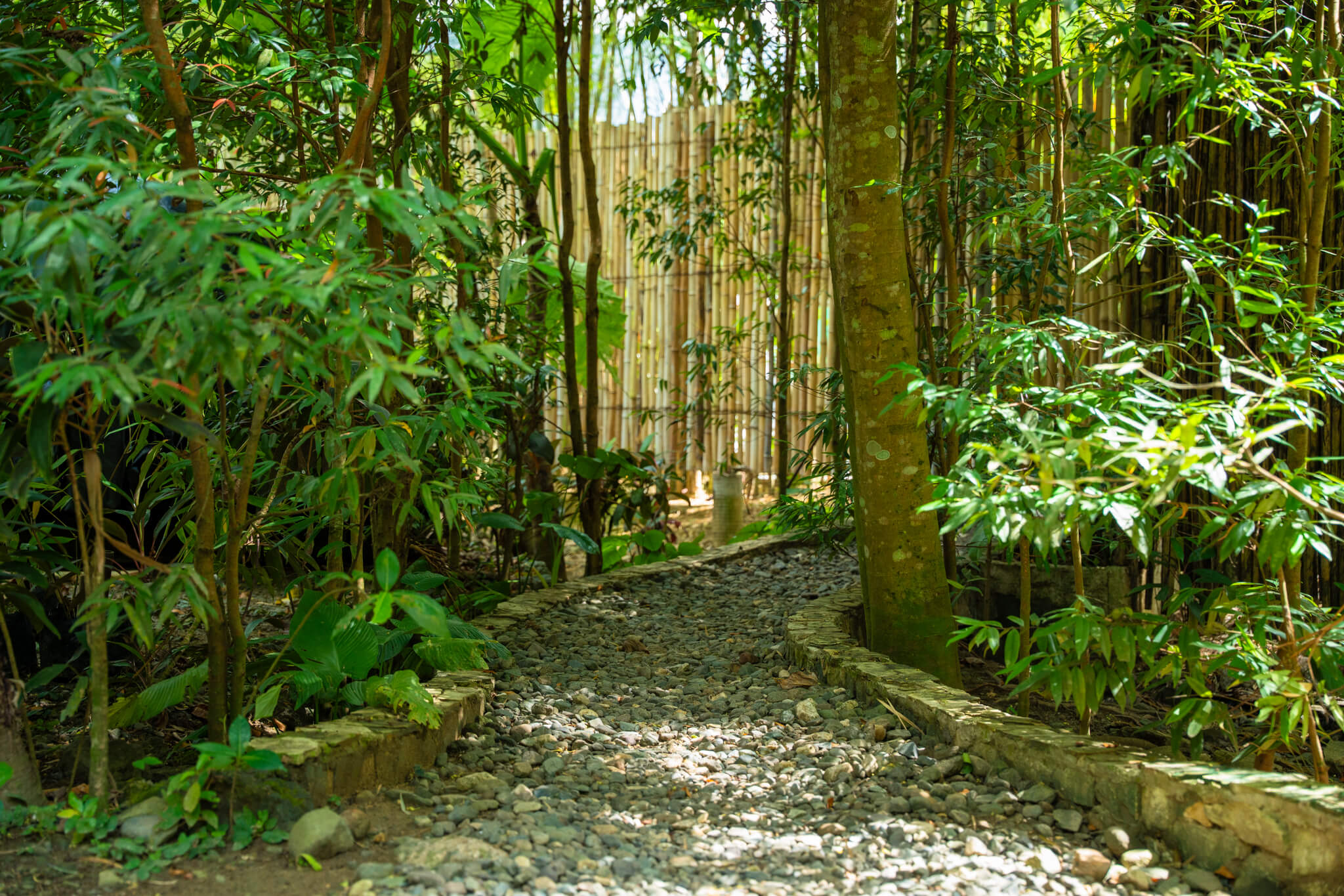 Treehouse de Valentine Nature Mountain Resort en Balamban