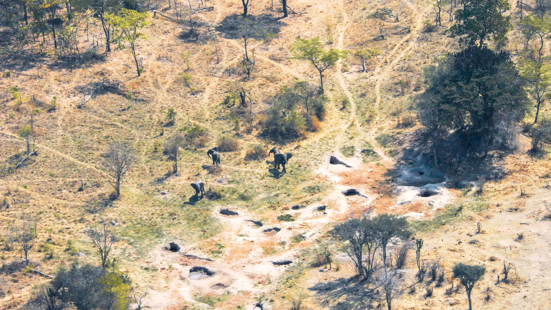 Asilia camp lodges usangu when to go jpg