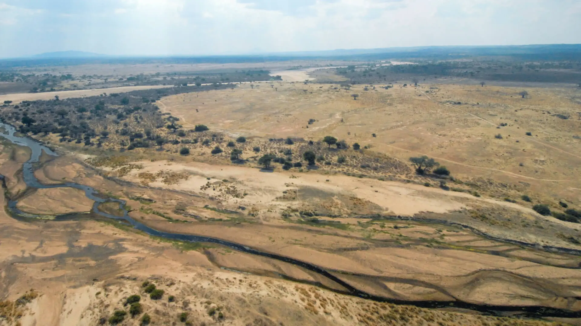 Asilia camp lodges usangu when to go2 jpg