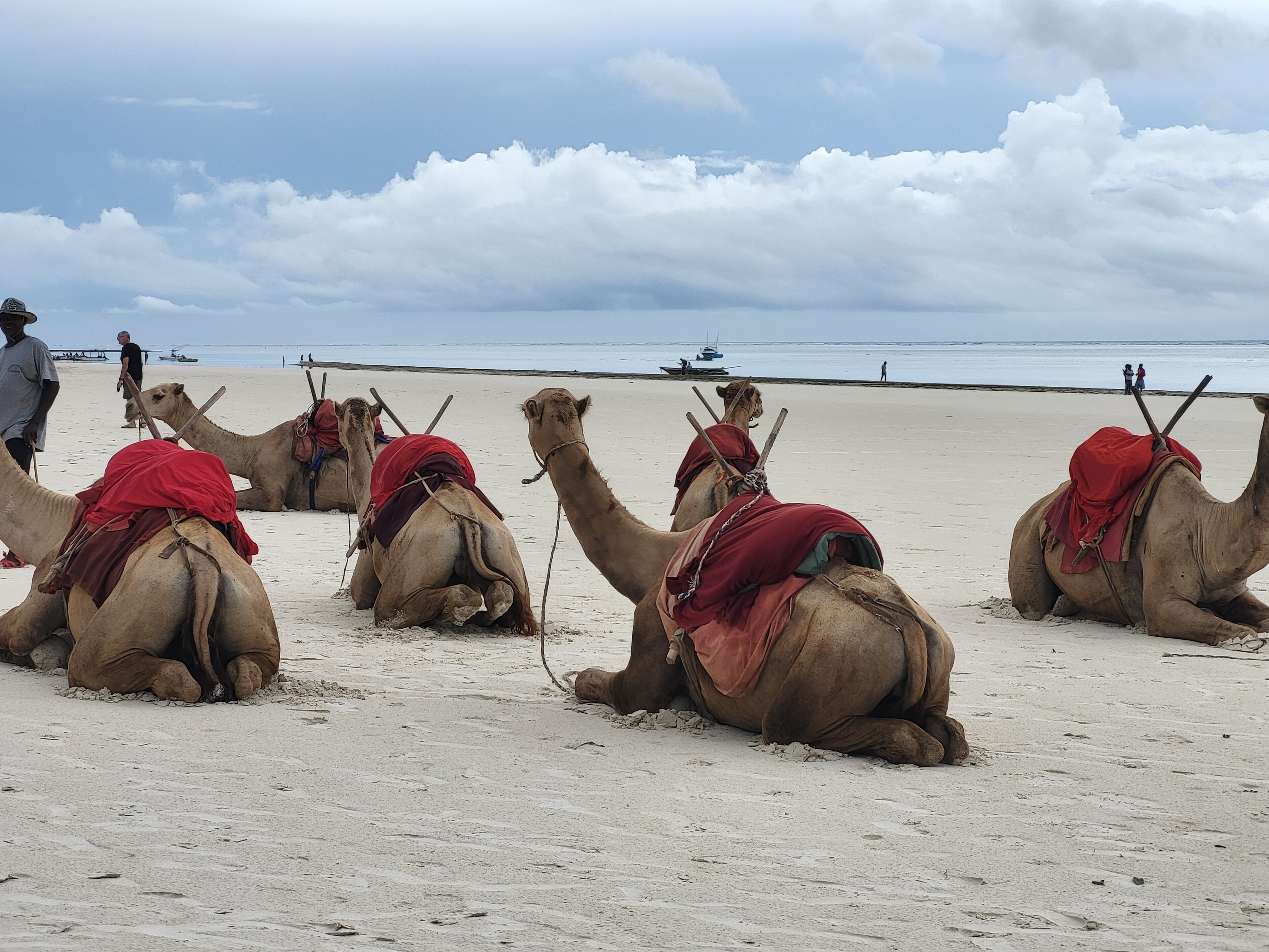 Diani Beach | LAT.40
