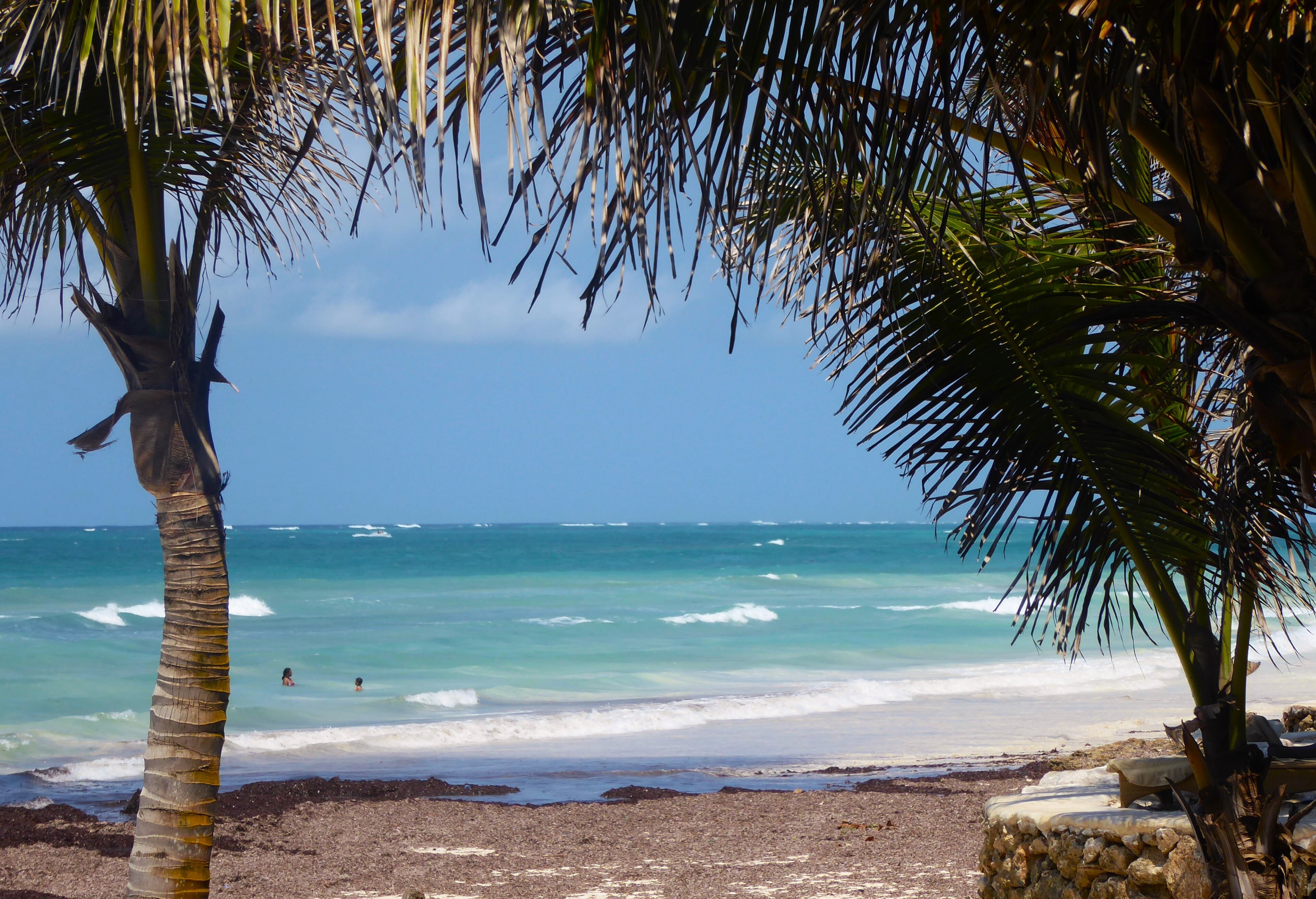 Diani Beach | LAT.40