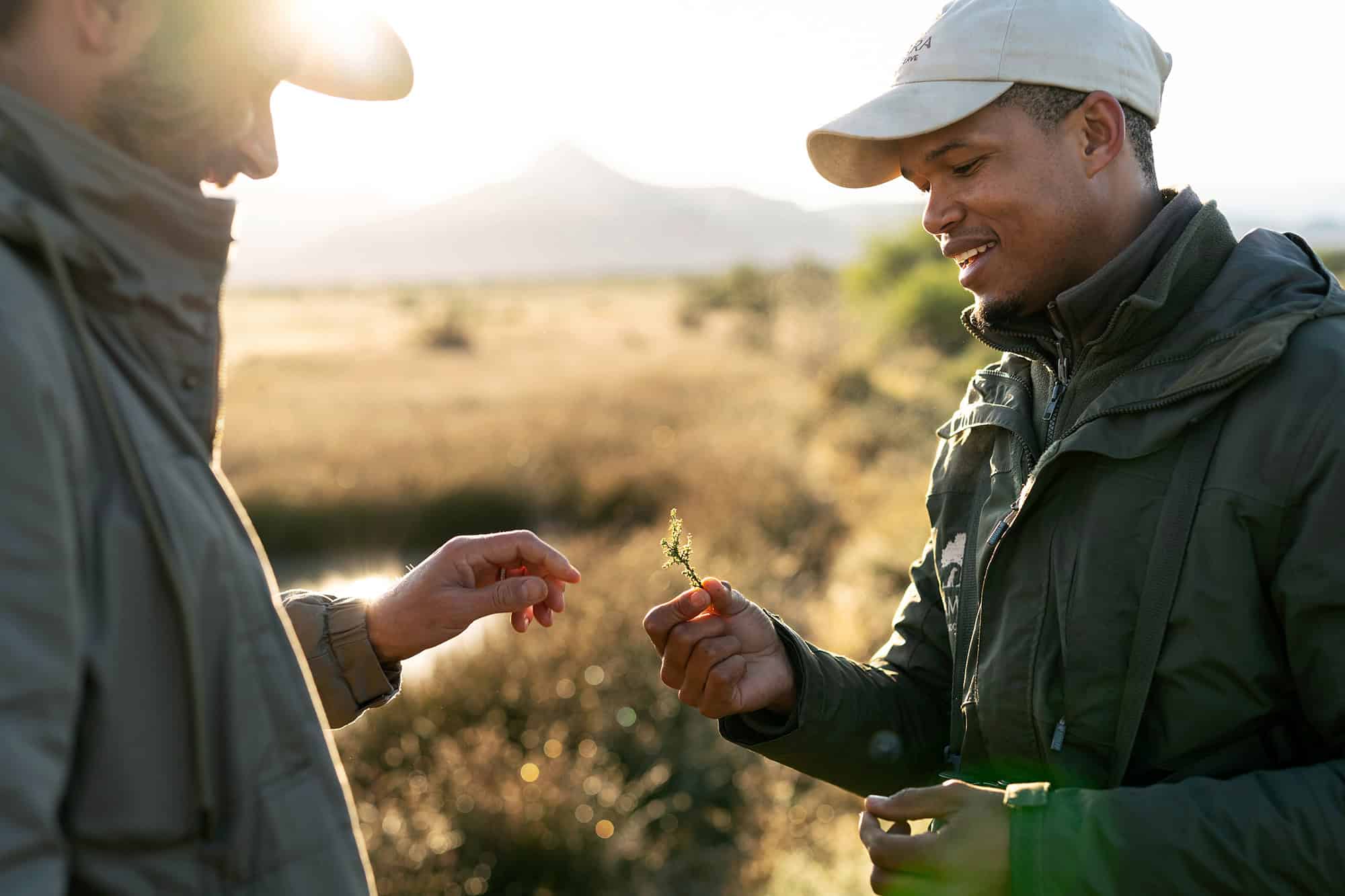 Samara plains camp walking safari educational flora honest work maike mcneill