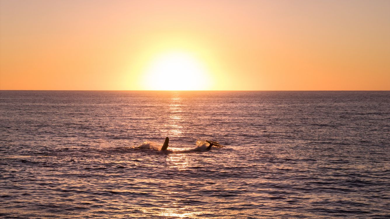 Siari, a Ritz-Carlton Reserve en Riviera Nayarit
