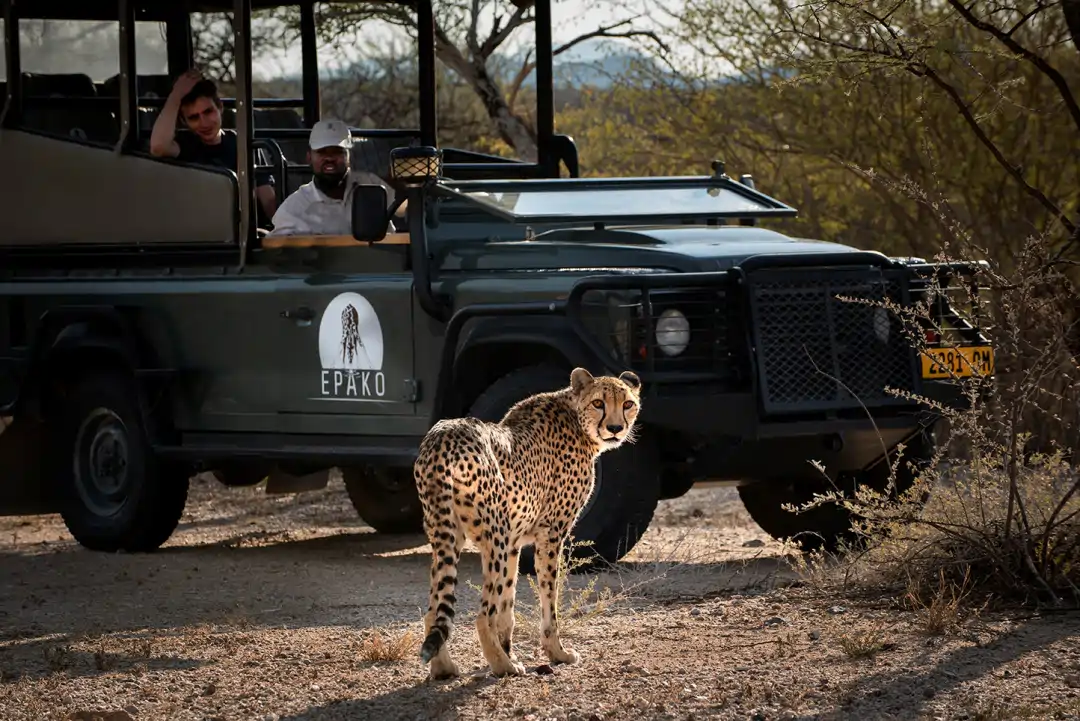 Epako Safari Lodge & Spa en Omaruru