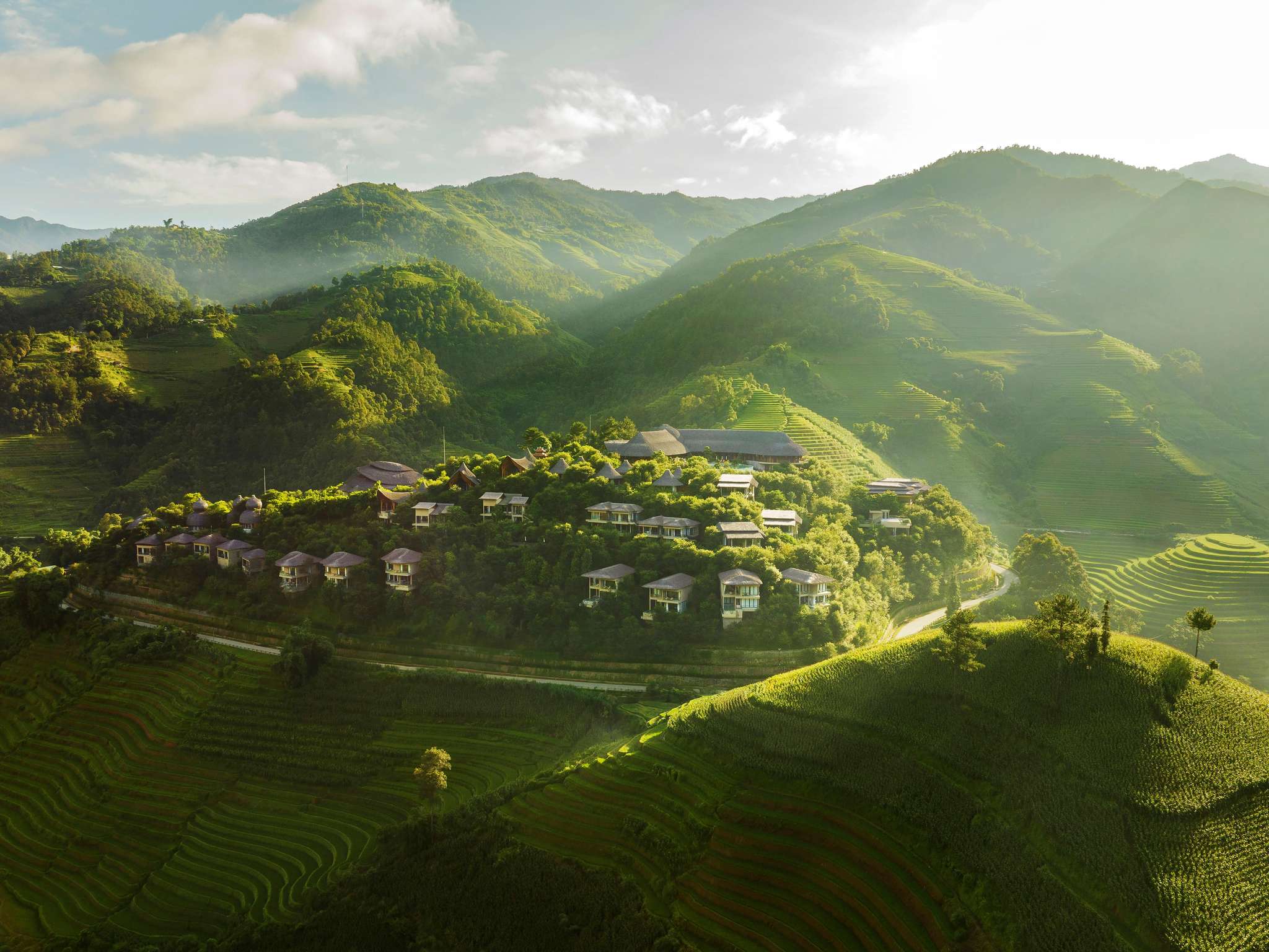 Garrya Mu Cang Chai | LAT.40