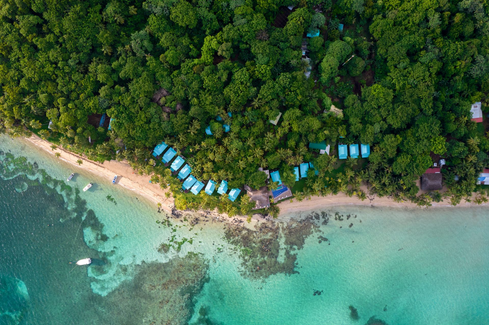 La Zebra Tulum en Tulum