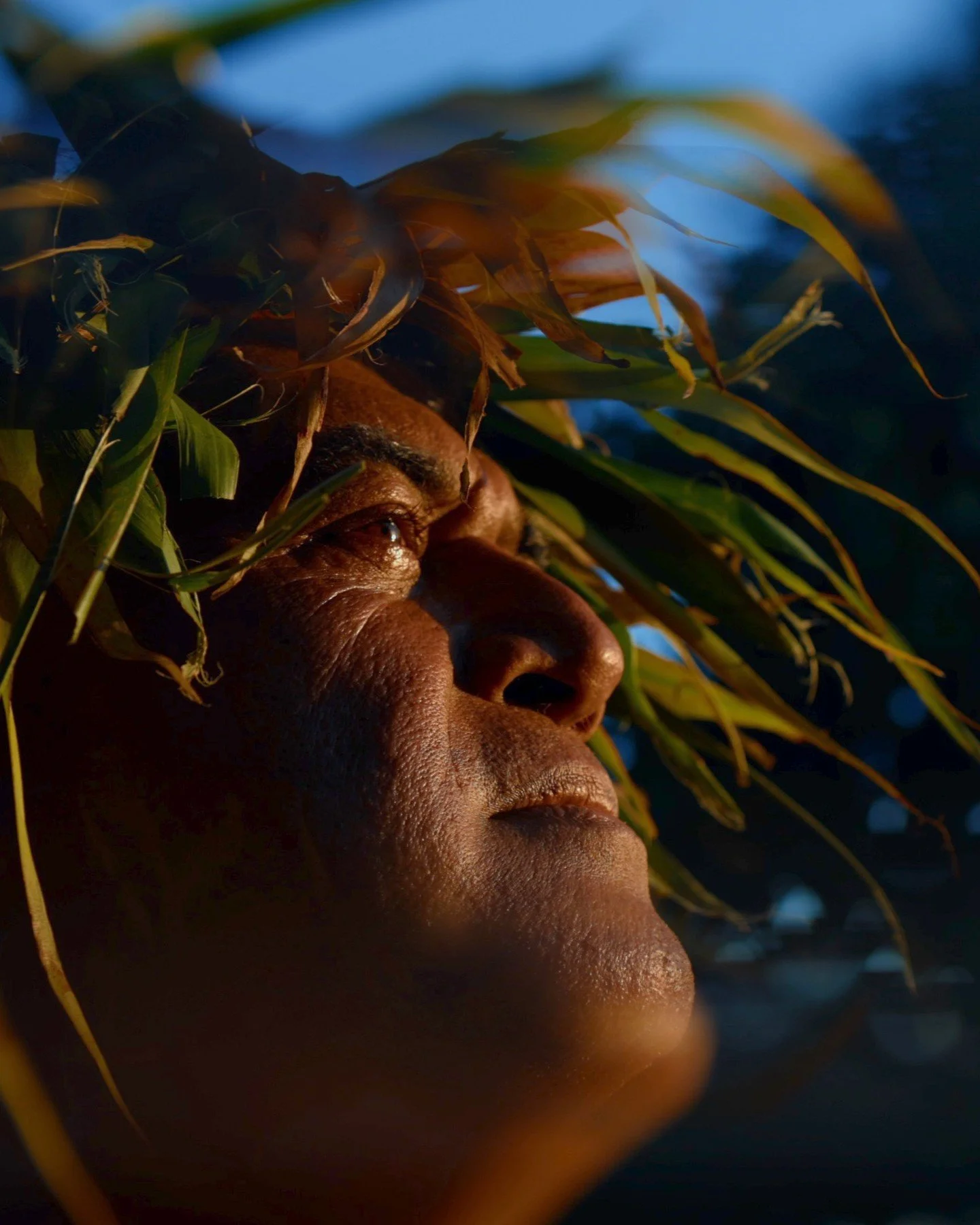 Motu Nao Nao en Raiatea