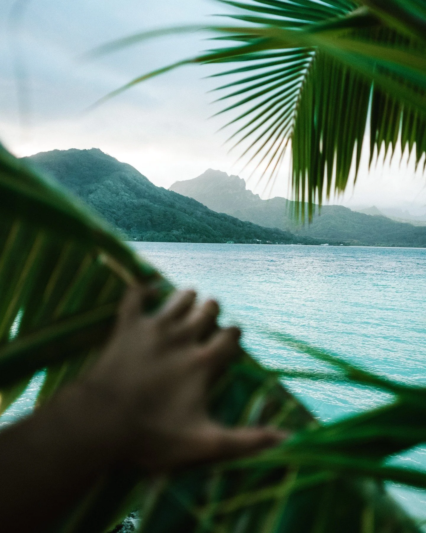 Motu Nao Nao en Raiatea