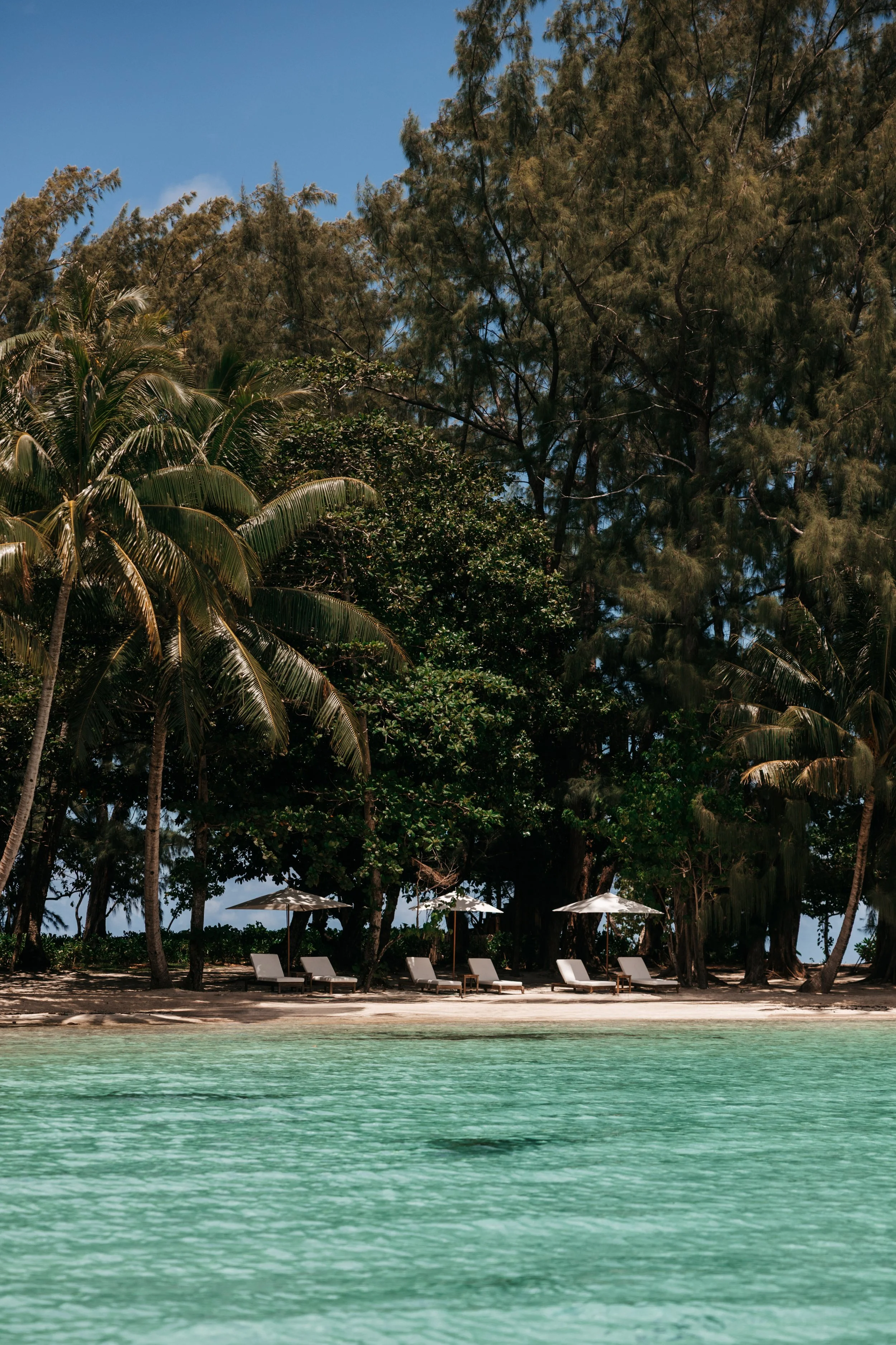 Motu Nao Nao en Raiatea