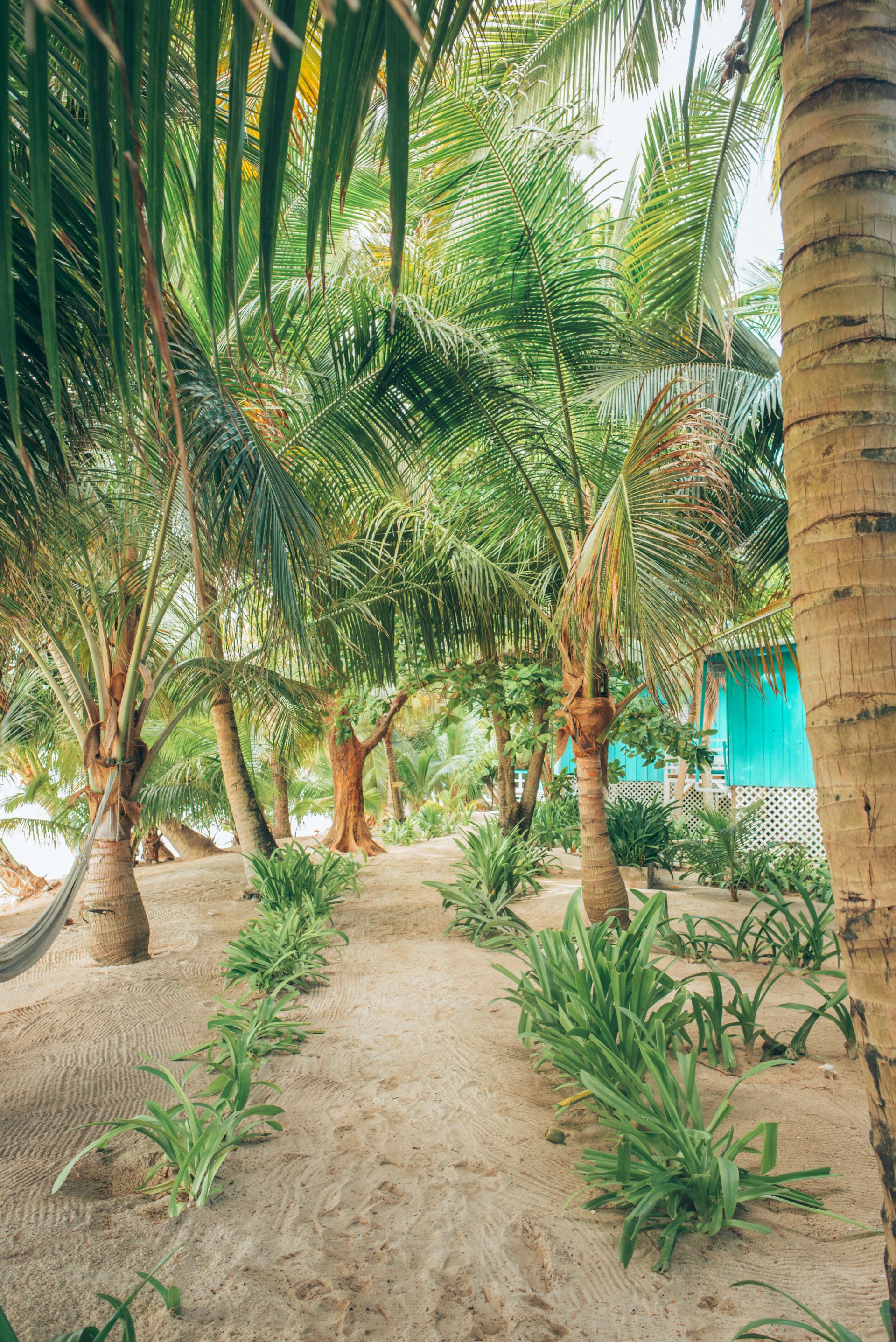 Ranguana Caye Cabanas en Ranguana Caye