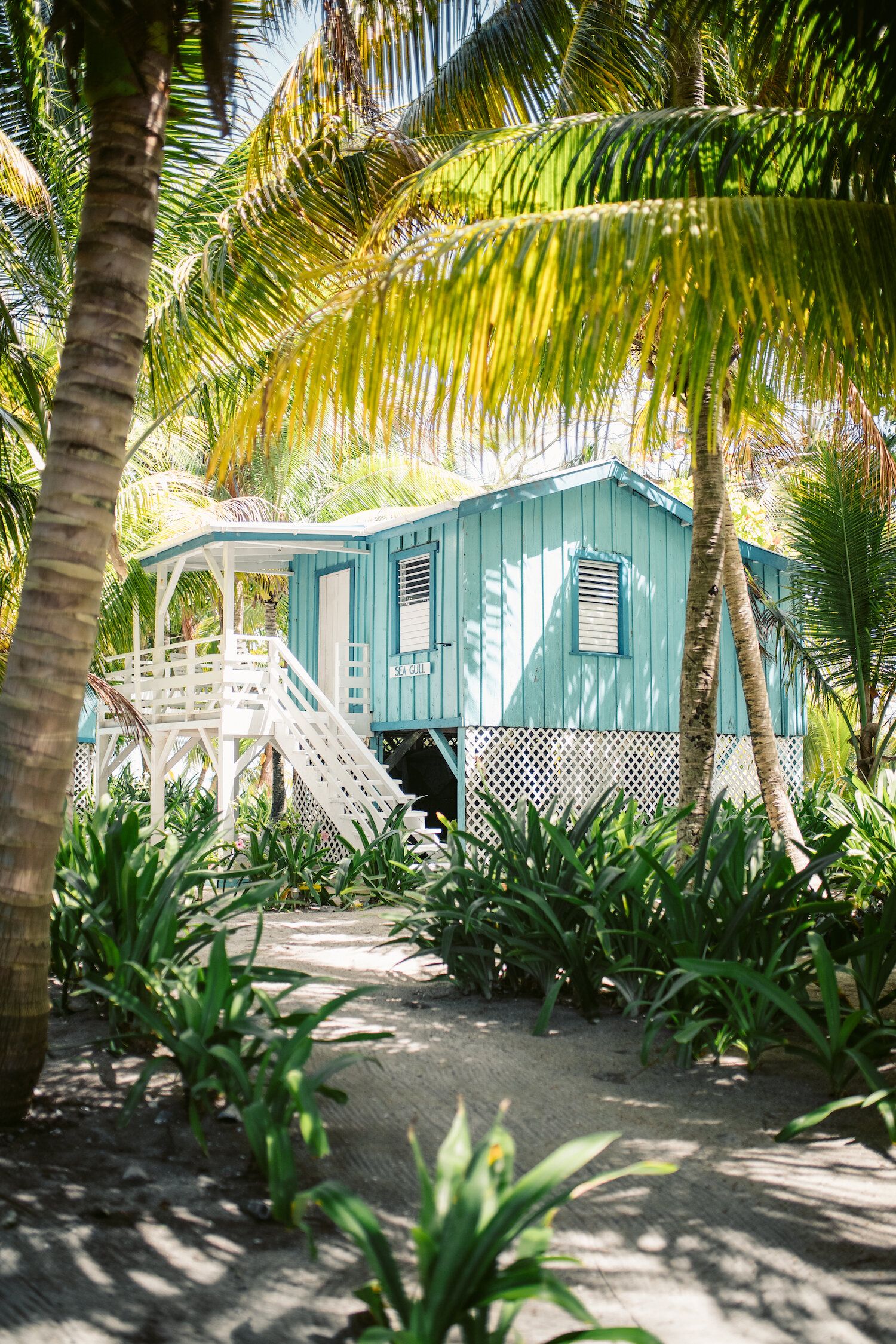 Ranguana Caye | LAT.40